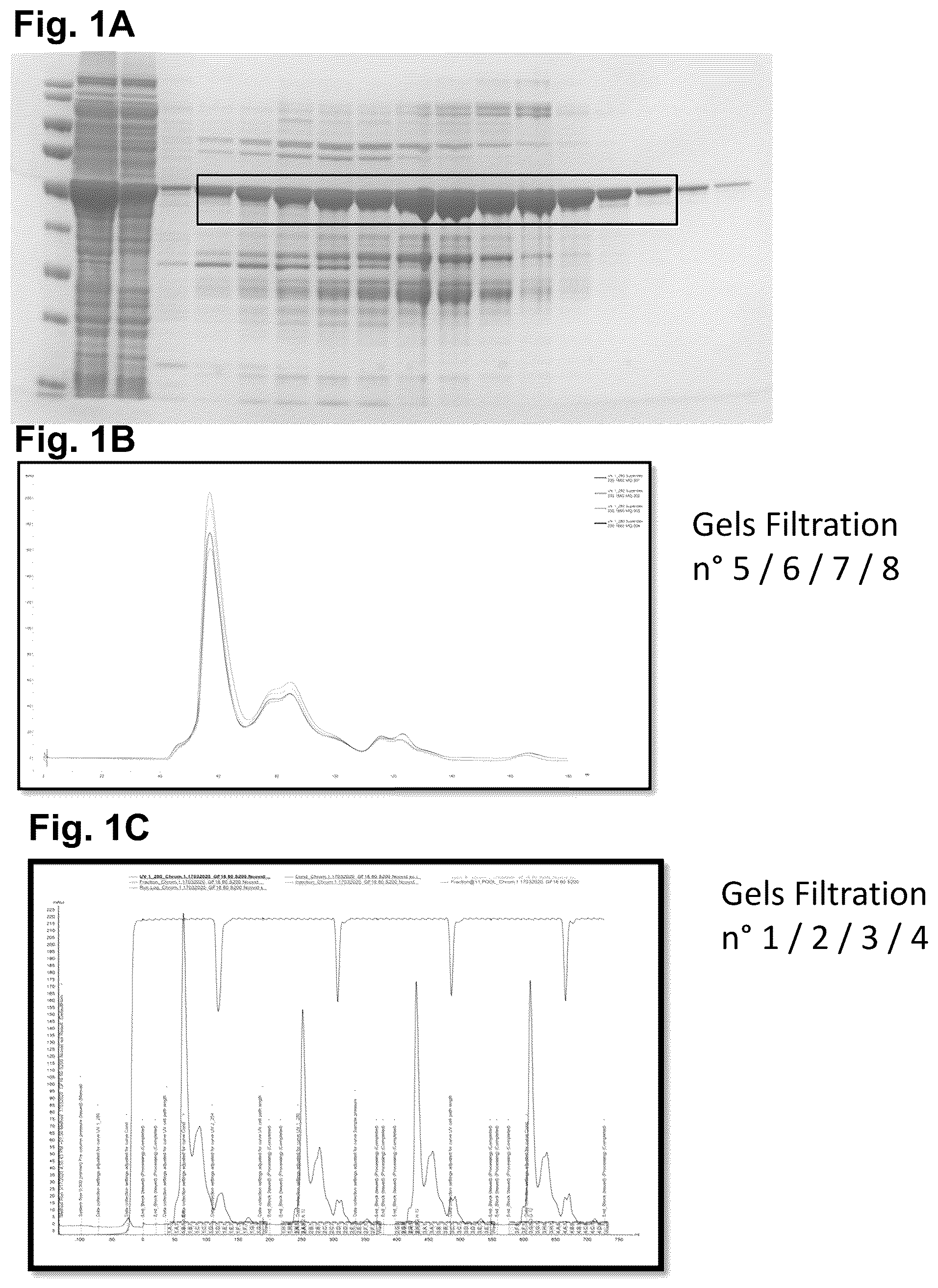 Patent US12326451 Figure 1 – Severe acute respiratory syndrome (SARS)—associated coronavirus diagnostics