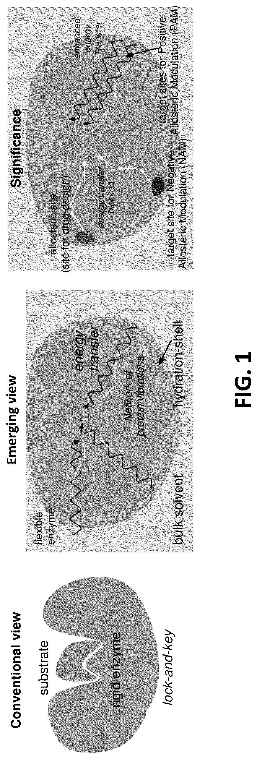Patent US12326454 — Systems and methods for identifying positive allosteric modulators of enzymes to enhance activity — Figure 1