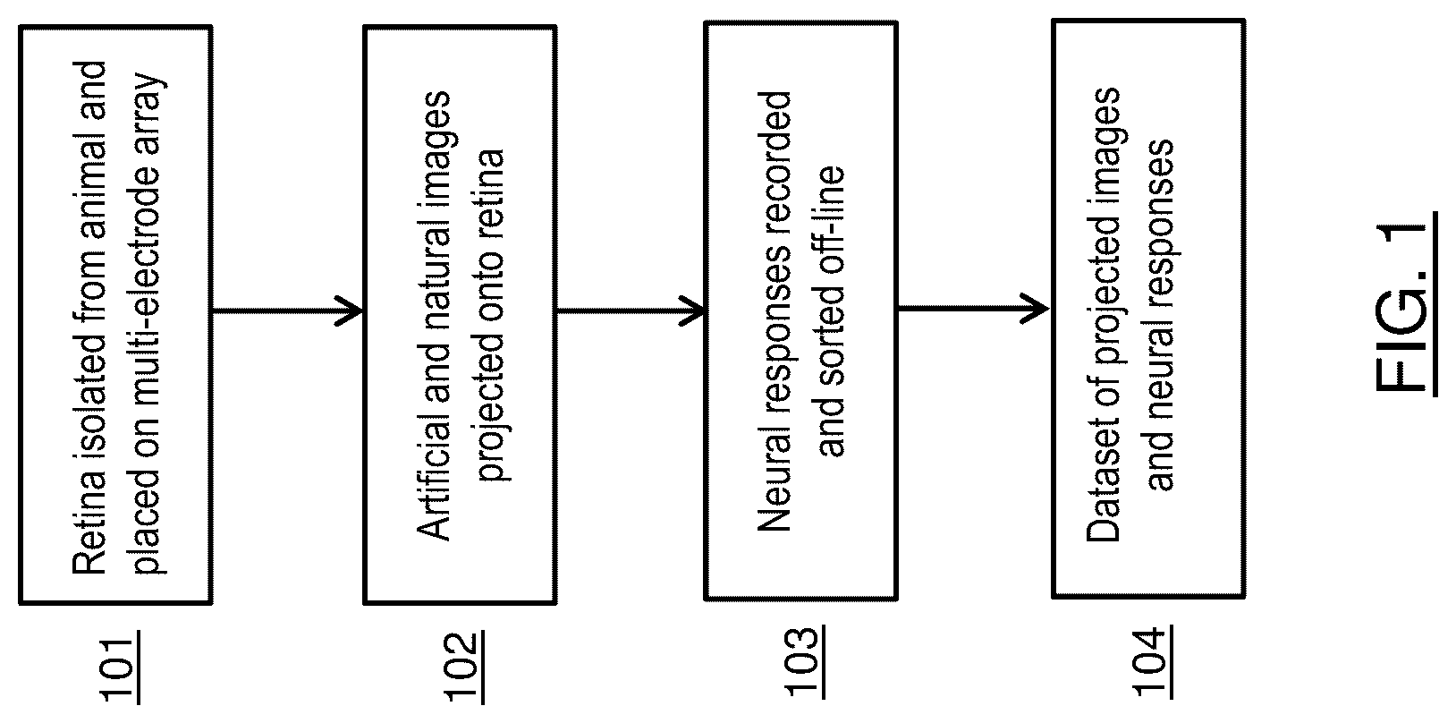 Patent US12327389 — Image classification using retinal ganglion cell modelling — Figure 1