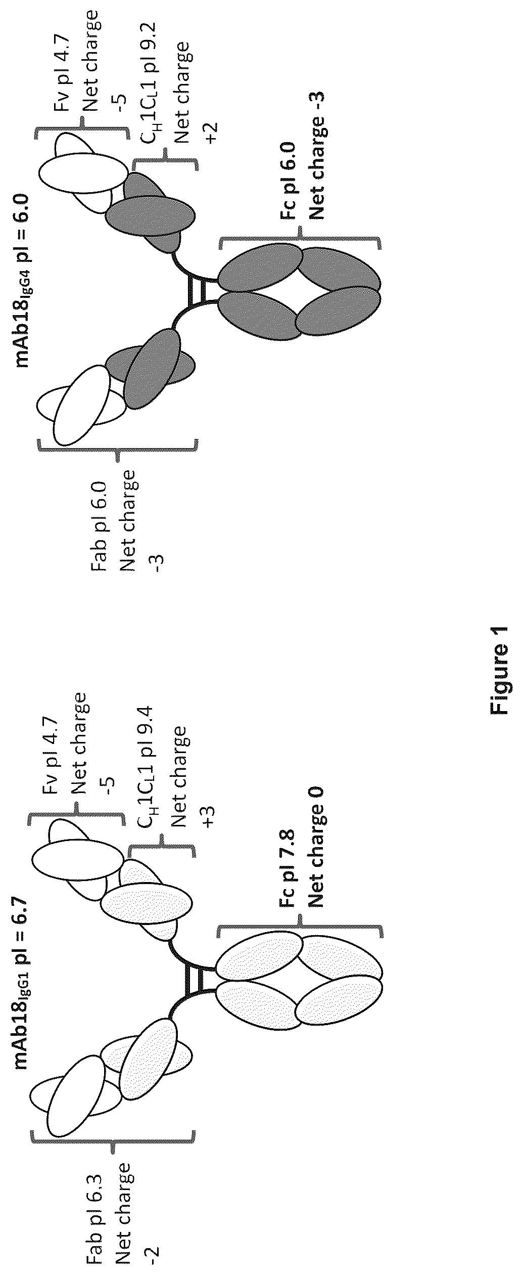 Patent US12327614 — Multi-domain proteins with increased native state colloidal stability — Figure 1