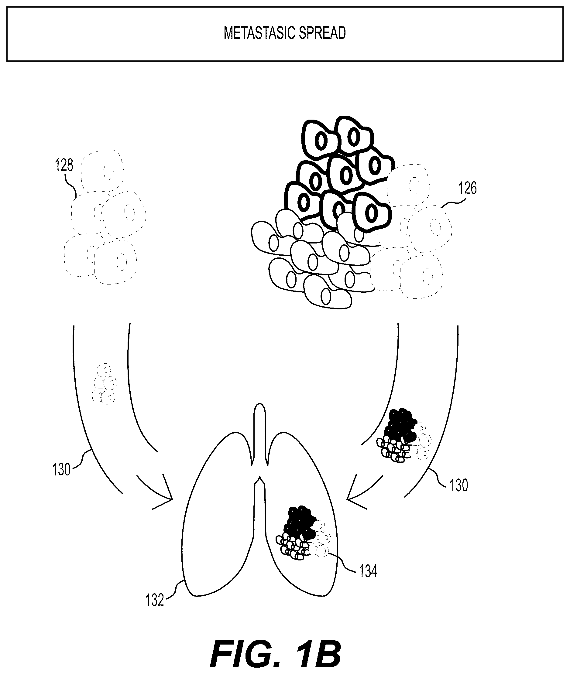 Patent US12327625 — Systems and methods to process electronic images to identify tumor subclones and relationships among subclones — Figure 1