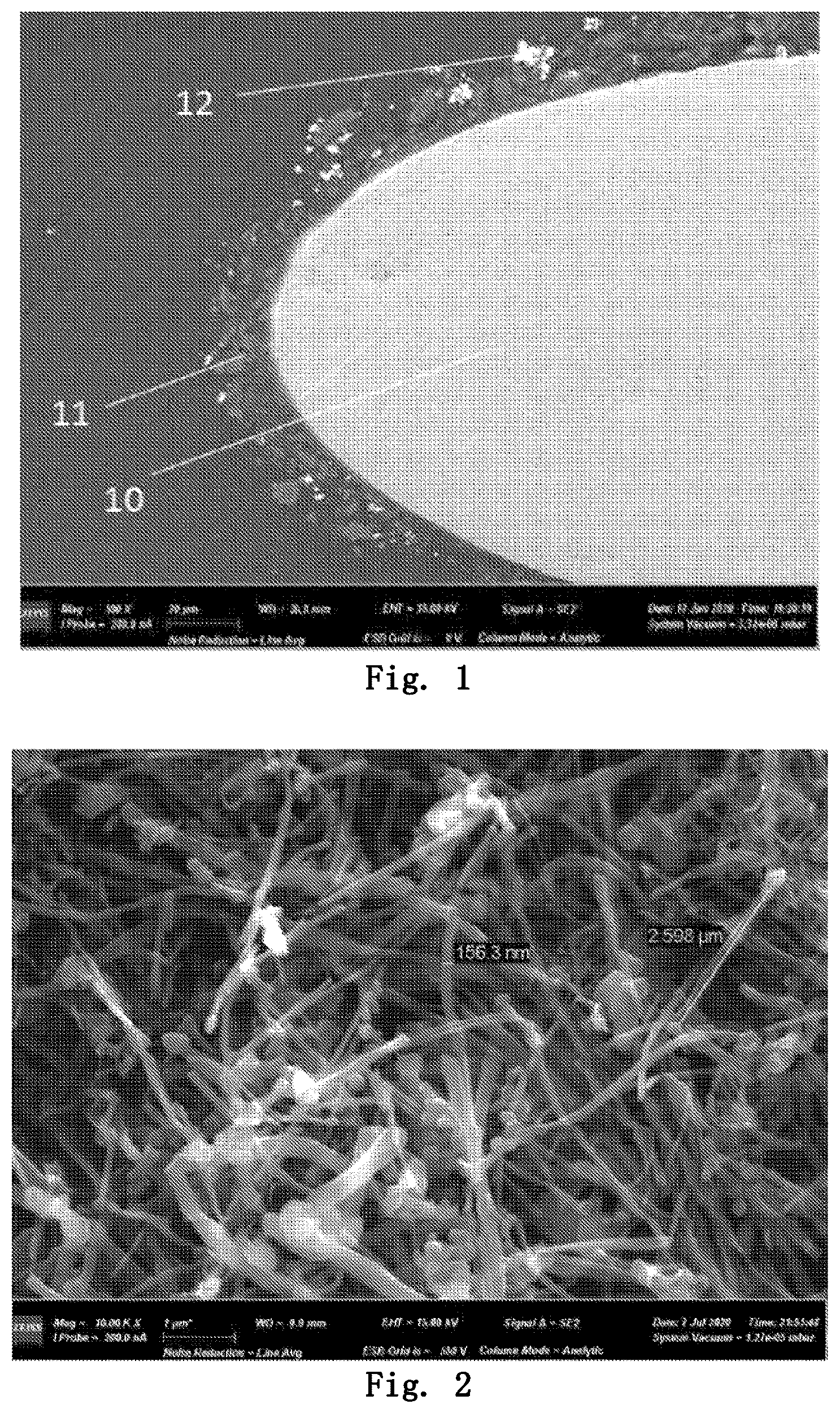 Patent US12327658 — Conductive wire, conductive coil, and conductive device — Figure 1