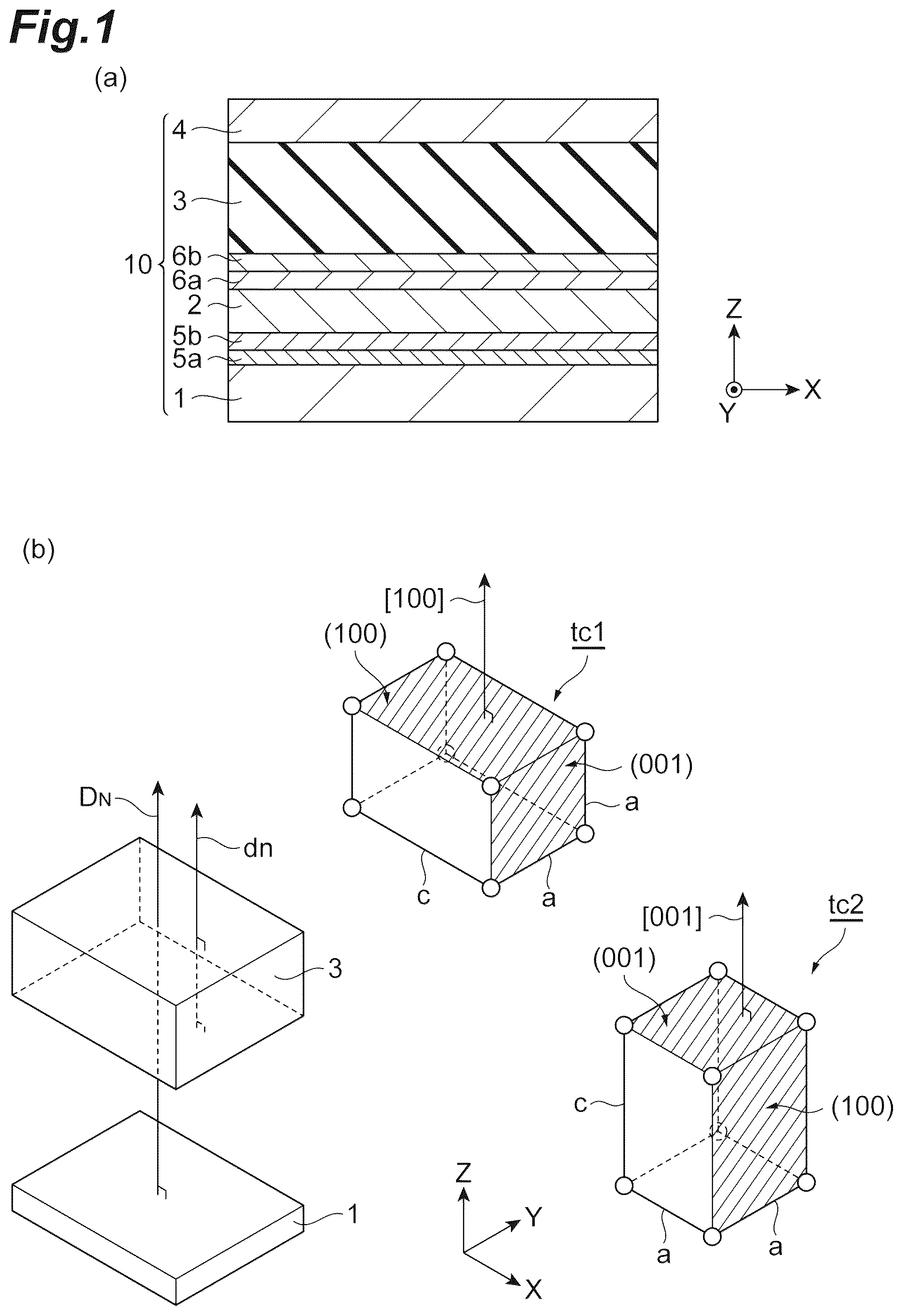 Patent US12329036 — Dielectric thin film, dielectric thin film element, piezoelectric actuator, piezoelectric sensor, head assembly, head stack assembly, hard disk drive, printer head and inkjet printer device — Figure 1