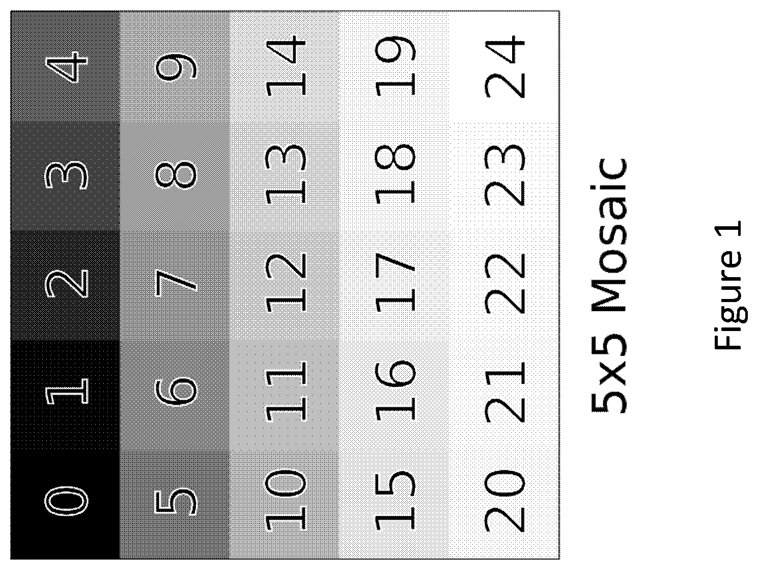 Patent US12332117 — Method and system for joint demosaicking and spectral signature estimation — Figure 1