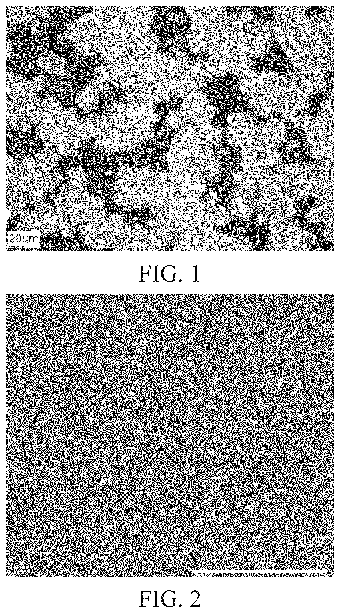 Patent US12332155 — Preparation method for iron-based alloy powder EBSD test sample — Figure 1