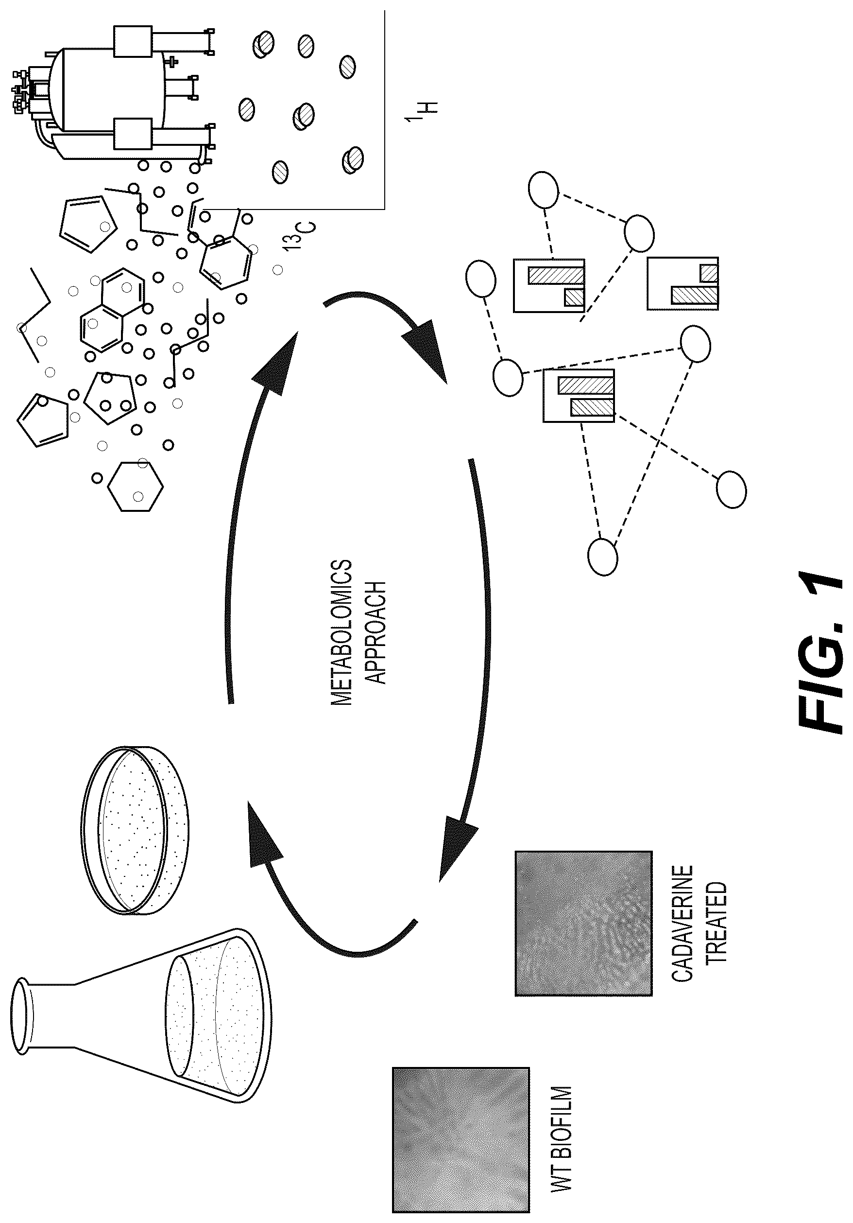 Patent US12332198 — Metabolite based diagnostics for periprosthetic joint infection — Figure 1