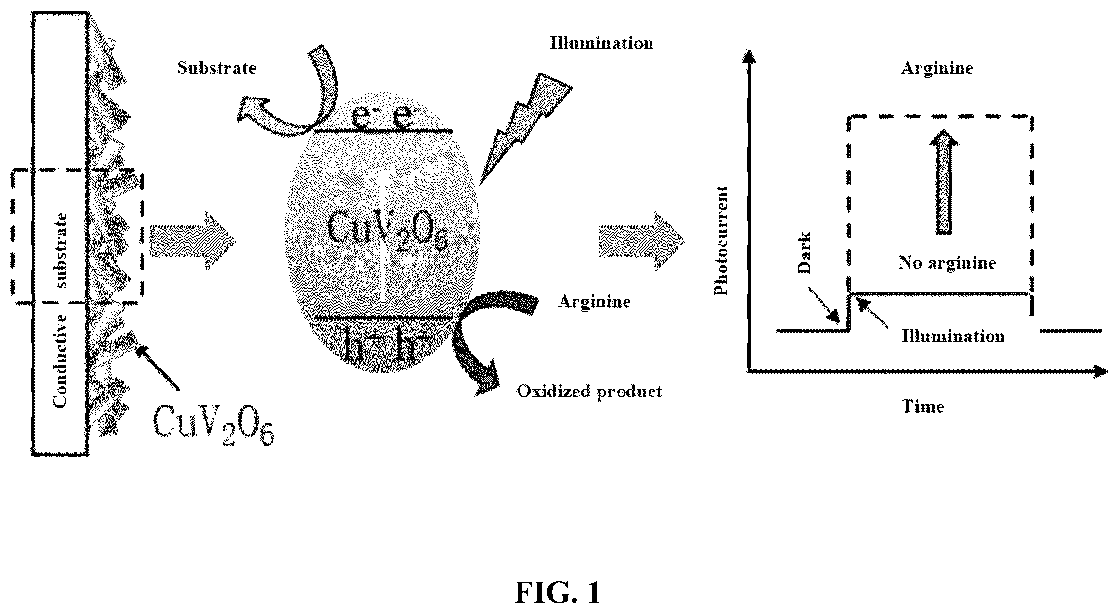 Patent US12332207 — CuV 2 O 6 -based photoelectric sensor and application thereof in detection of arginine — Figure 1