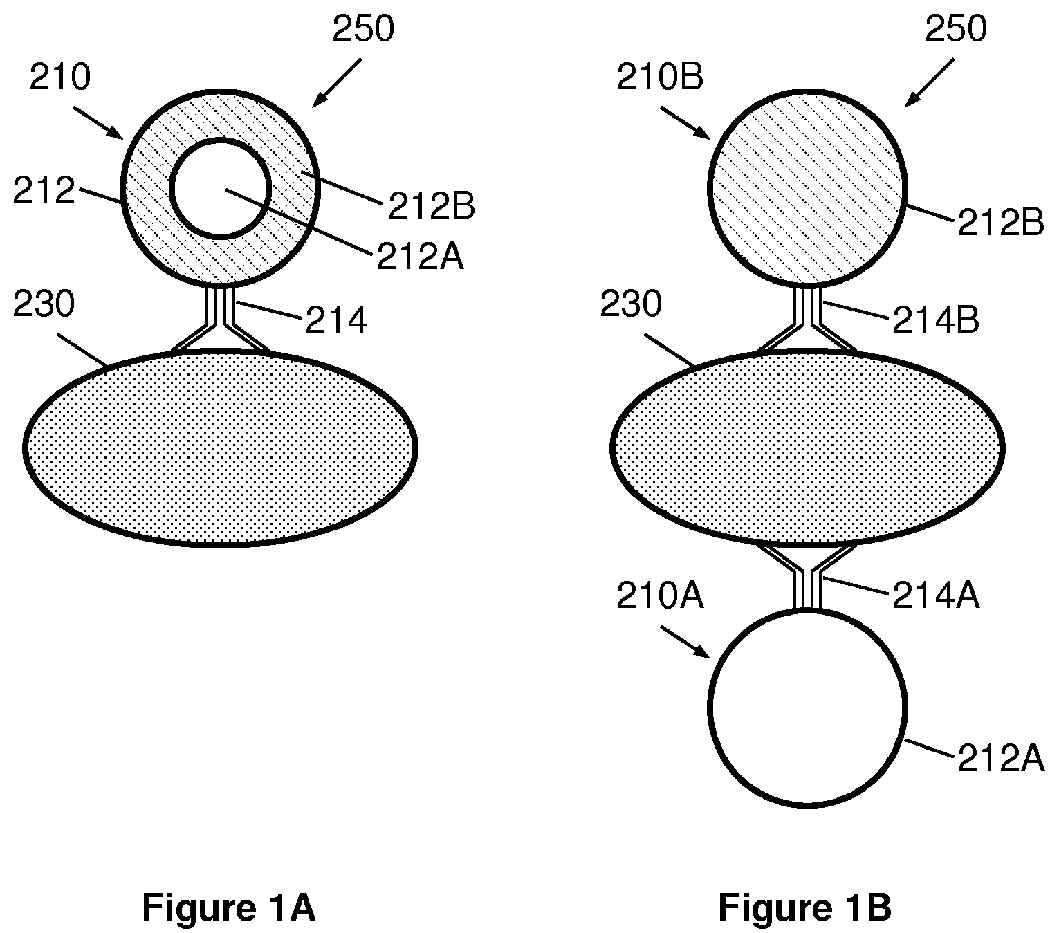 Patent US12332238 — Extraction and detection of pathogens using carbohydrate-functionalized biosensors — Figure 1