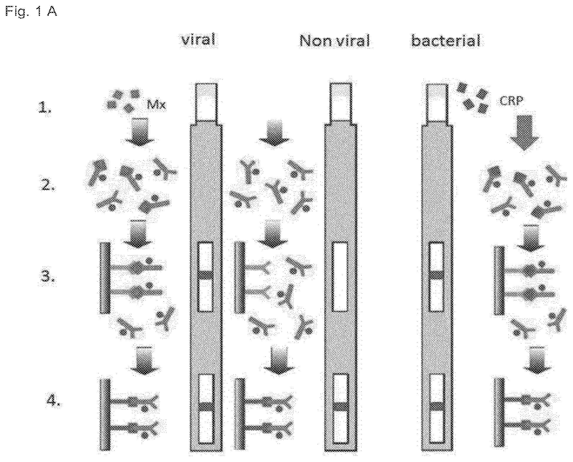 Patent US12332242 — Method and device for discriminating between viral and bacterial infections — Figure 1