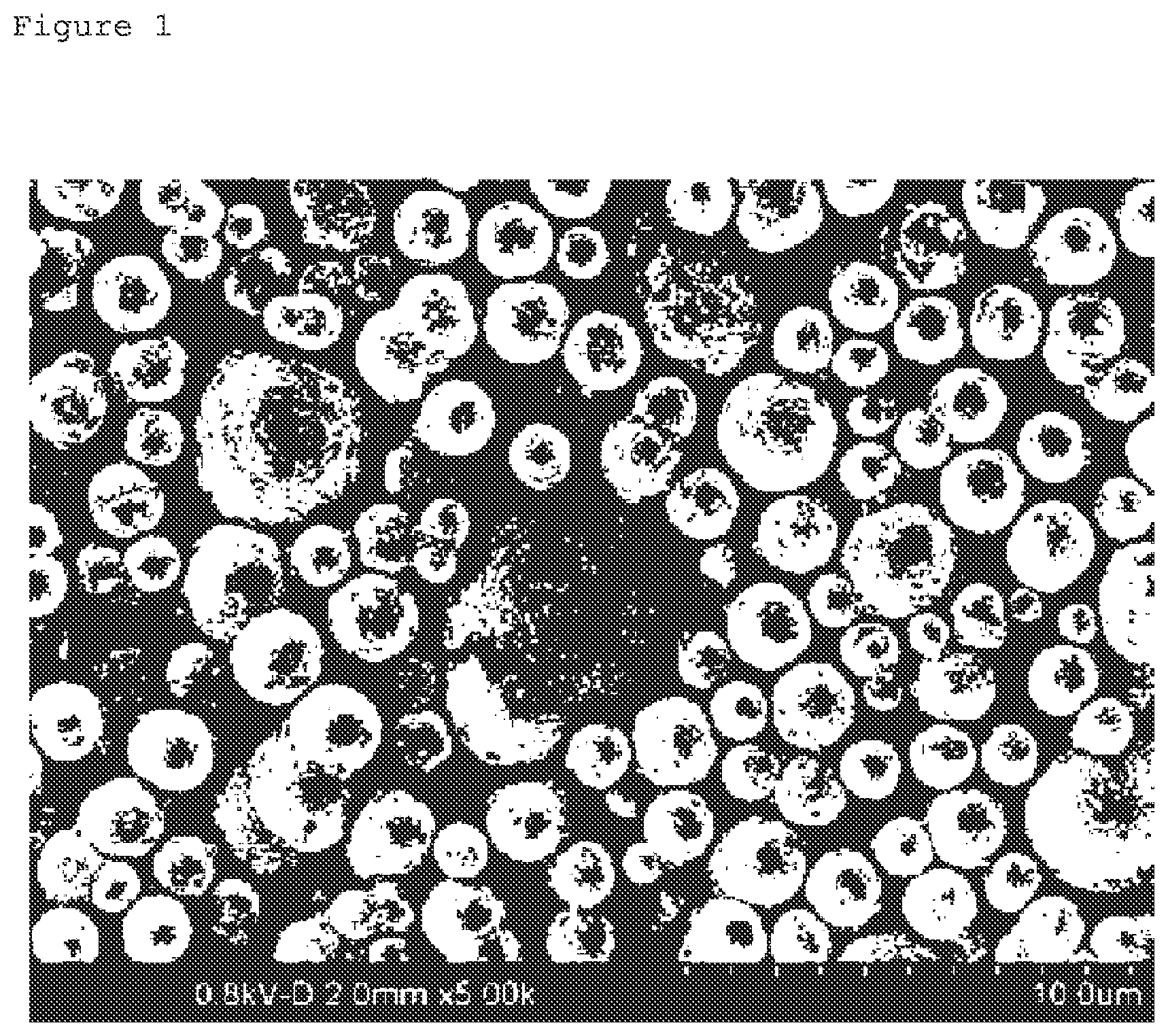 Patent US12338134 — Method for producing cobalt ferrite particles and cobalt ferrite particles produced by same — Figure 1