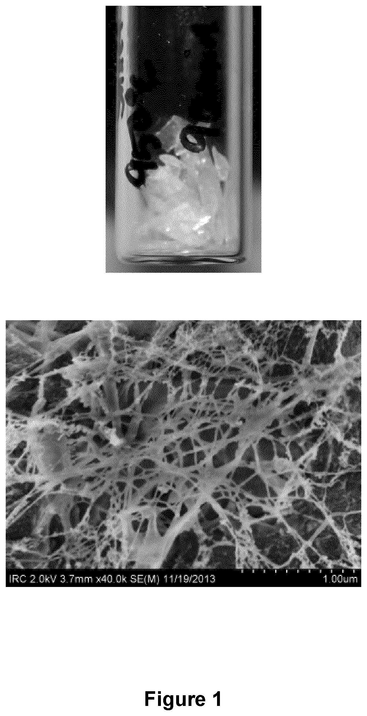 Patent US12338164 — Boron nitride nanotube-silicate glass composites — Figure 1