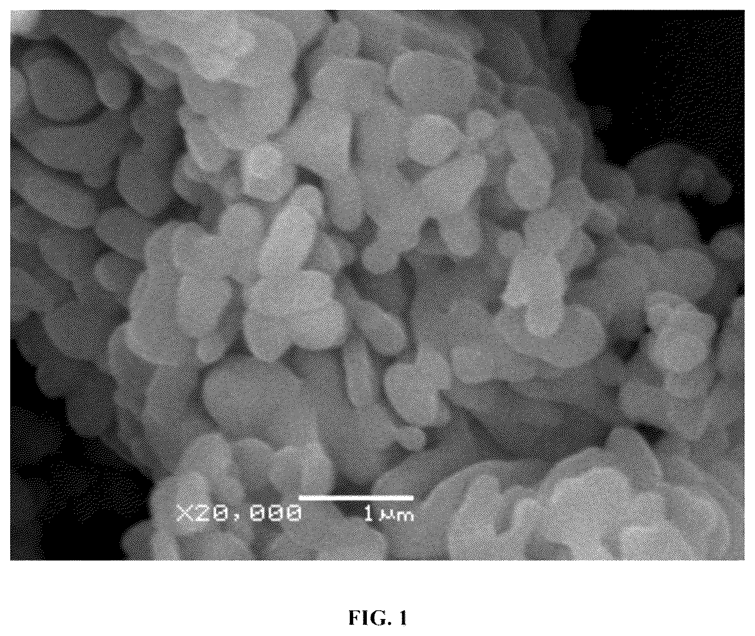 Patent US12338180 — Process for producing microcrystalline alpha-alumina by microwave calcination — Figure 1