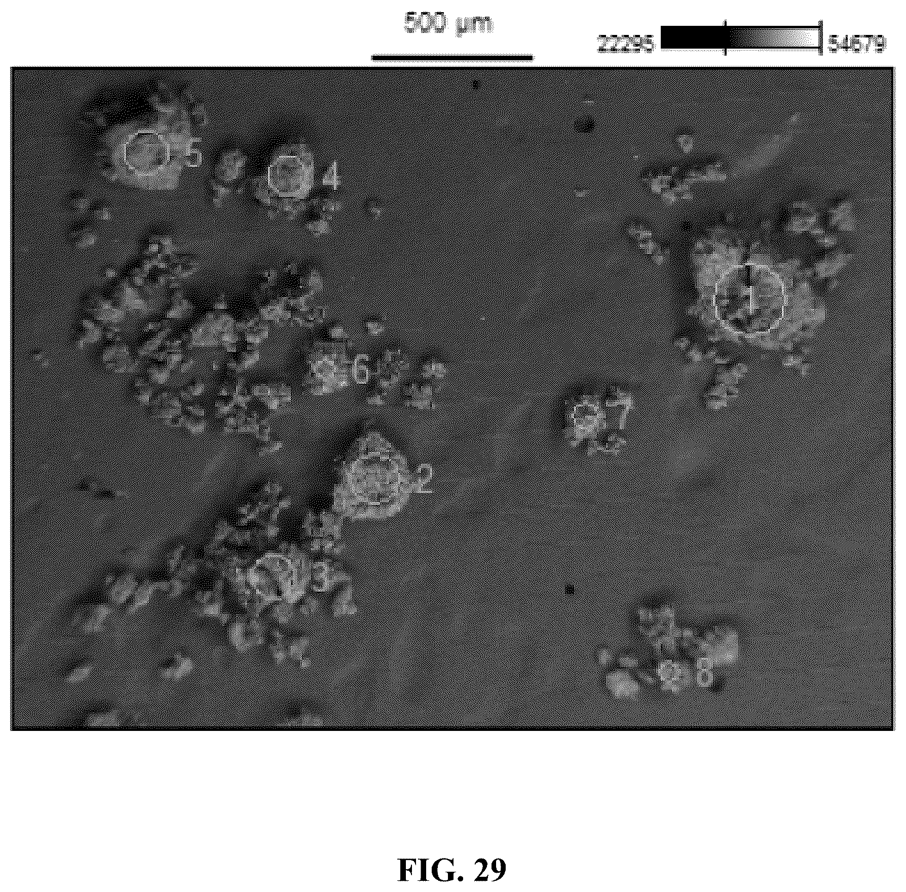 Patent US12338190 Figure 13 – Desensitized fertilizer compositions and methods of making same