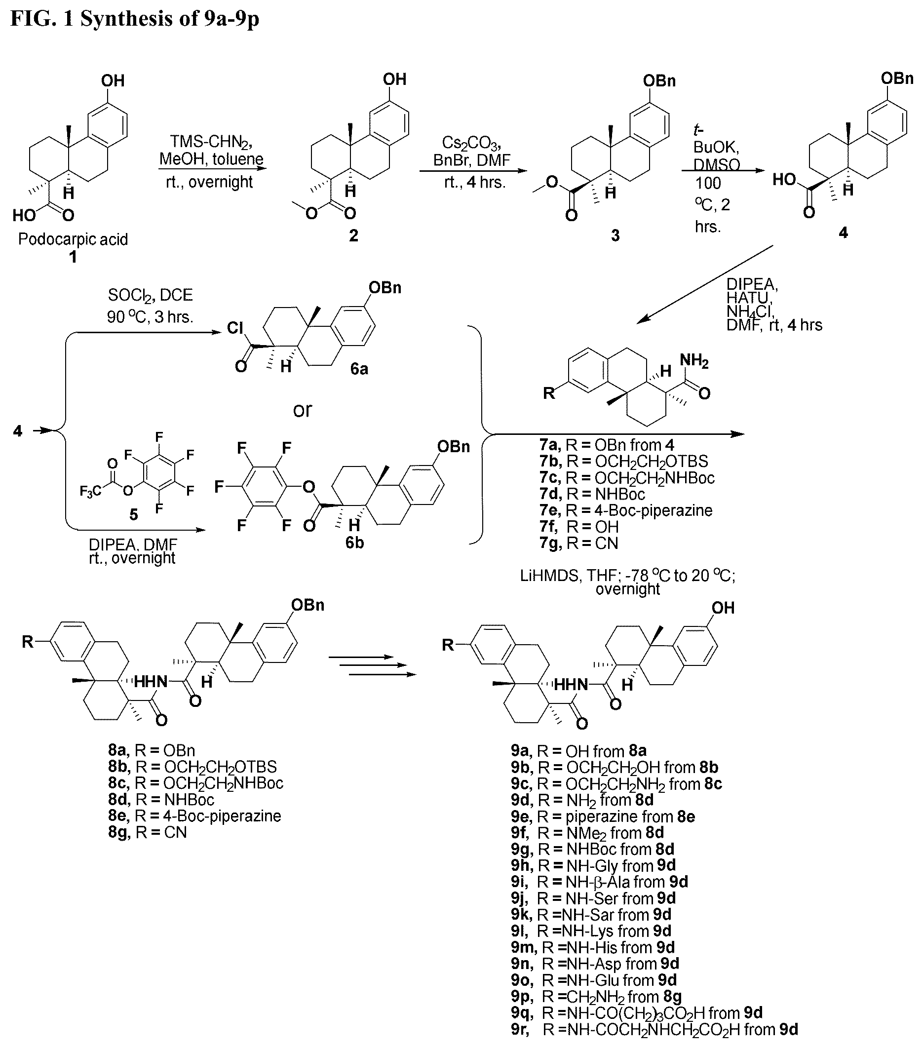 Patent US12338199 — Bis-octahydrophenanthrene carboxamides and protein conjugates thereof — Figure 1