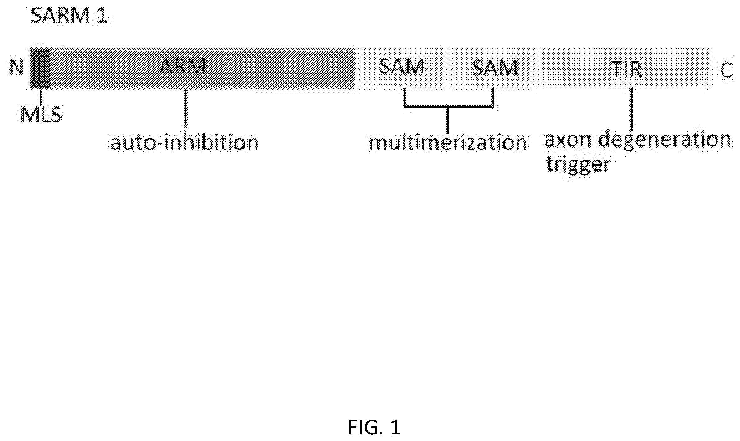 Patent US12338238 — Inhibitors of SARM1 — Figure 1