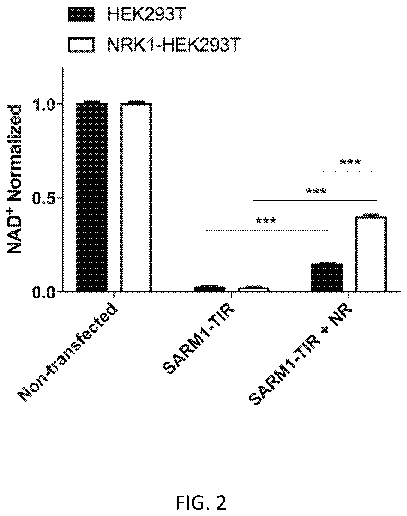 Patent US12338238 Figure 2 – Inhibitors of SARM1