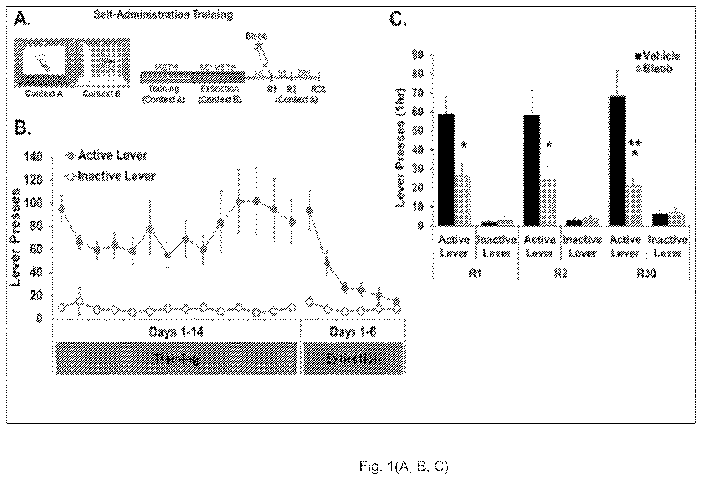 Patent US12338240 — Nonmuscle myosin ii inhibitors — Figure 1