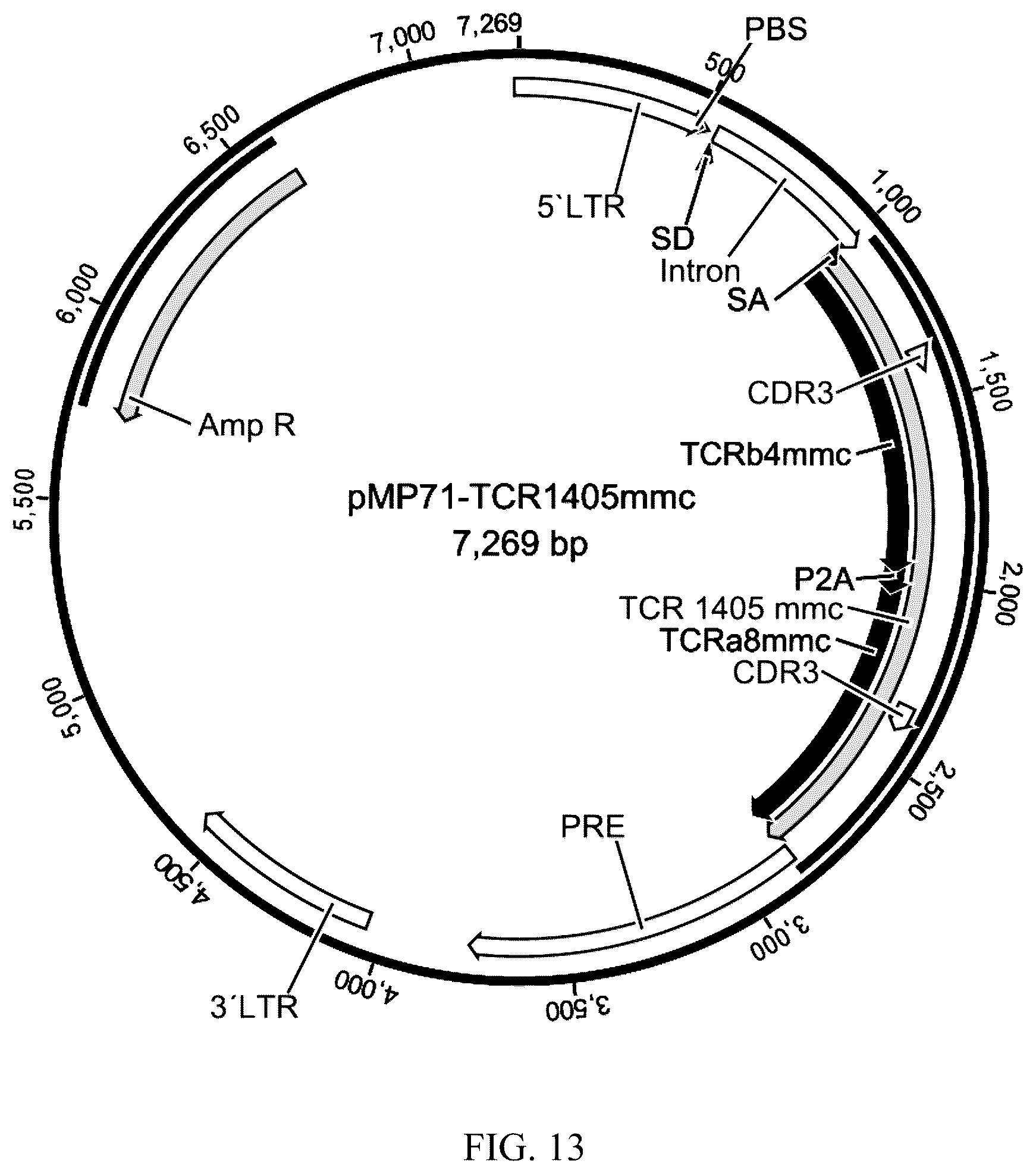 Patent US12338272 Figure 11 – High avidity antigen recognizing constructs