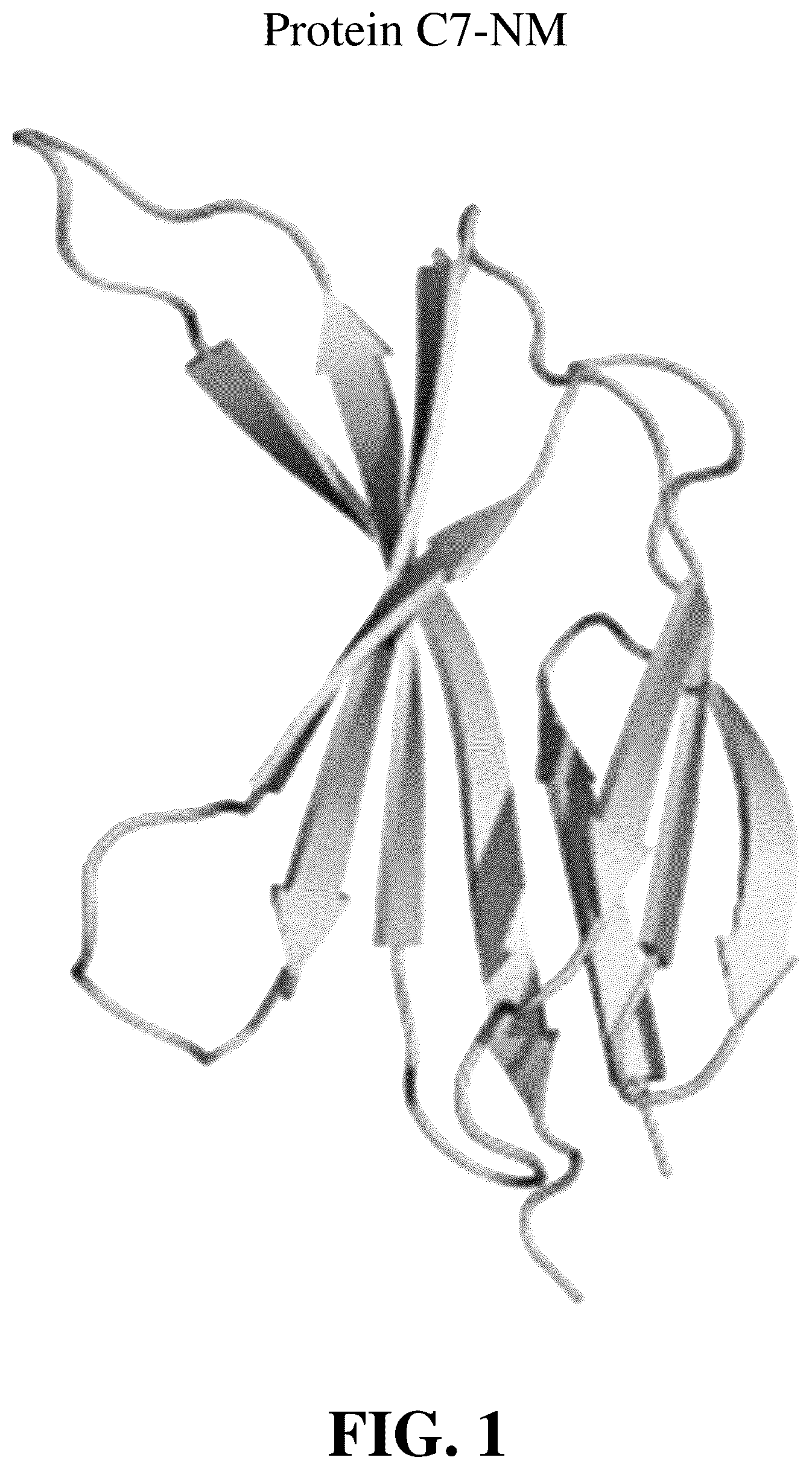 Patent US12338276 — Fibronectin type III domain-based protein and application thereof — Figure 1