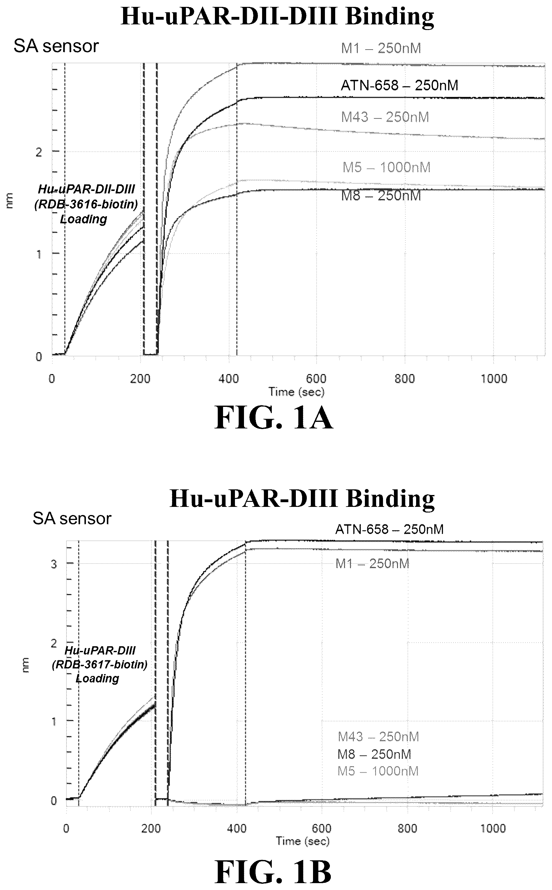 Patent US12338293 — UPAR antibodies and fusion proteins with the same — Figure 1