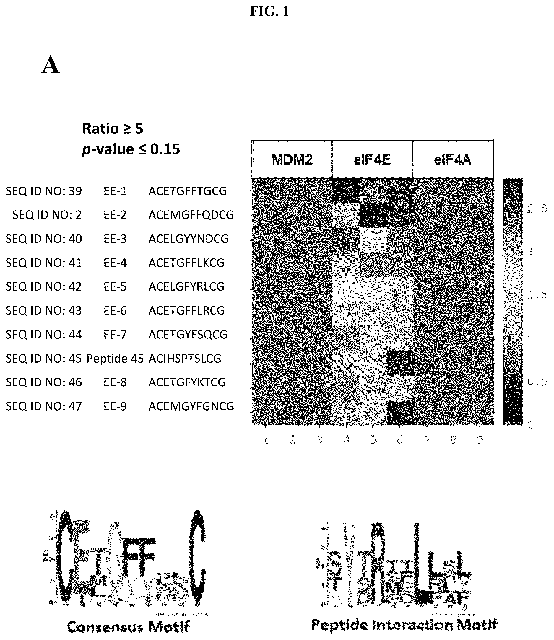 Patent US12338296 — Peptides and compounds that bind to elongation initiation factor 4E — Figure 1