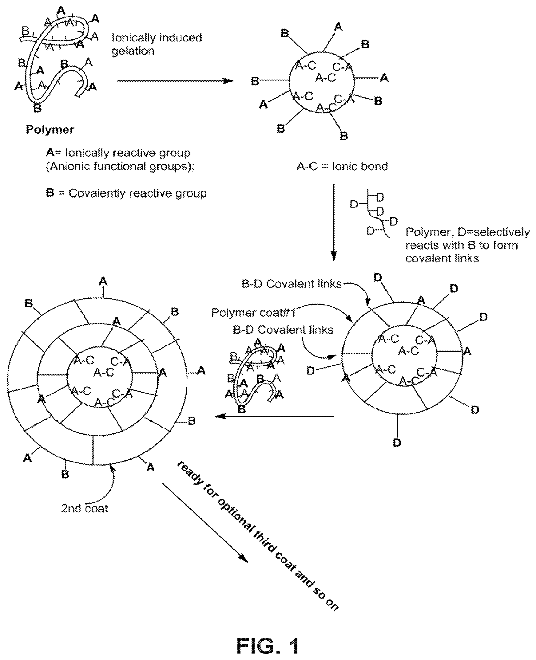 Patent US12338330 Figure 1 – Alginate hydrogel compositions
