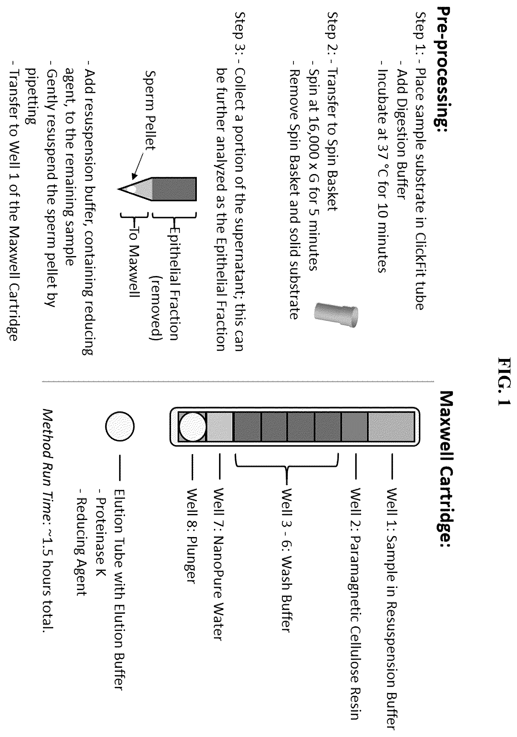 Patent US12338432 — Sperm cell isolation and sperm-associated DNA purification — Figure 1