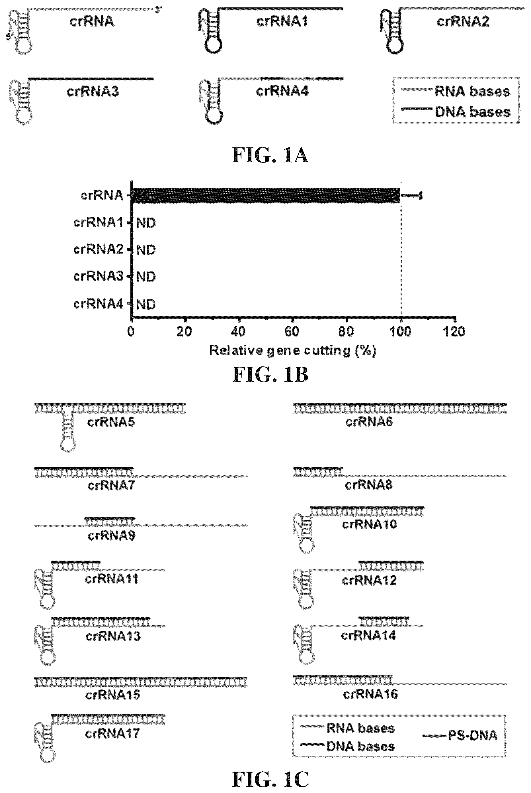 Patent US12338433 — Modified nucleic acids, hybrid guide RNAS, and uses thereof — Figure 1