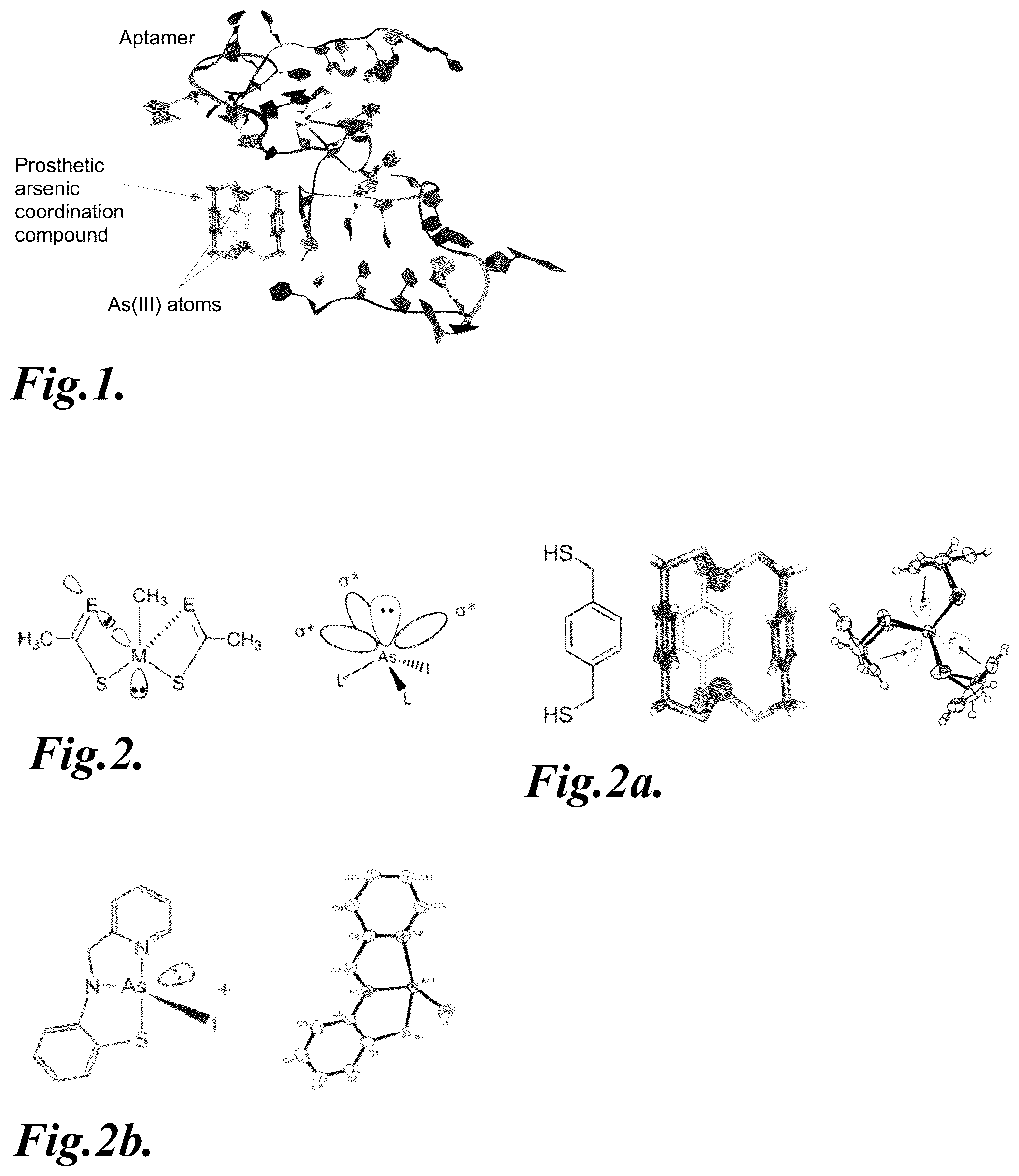 Patent US12338434 — Methods and materials for discovery of functional ligands to molecular complexes — Figure 1
