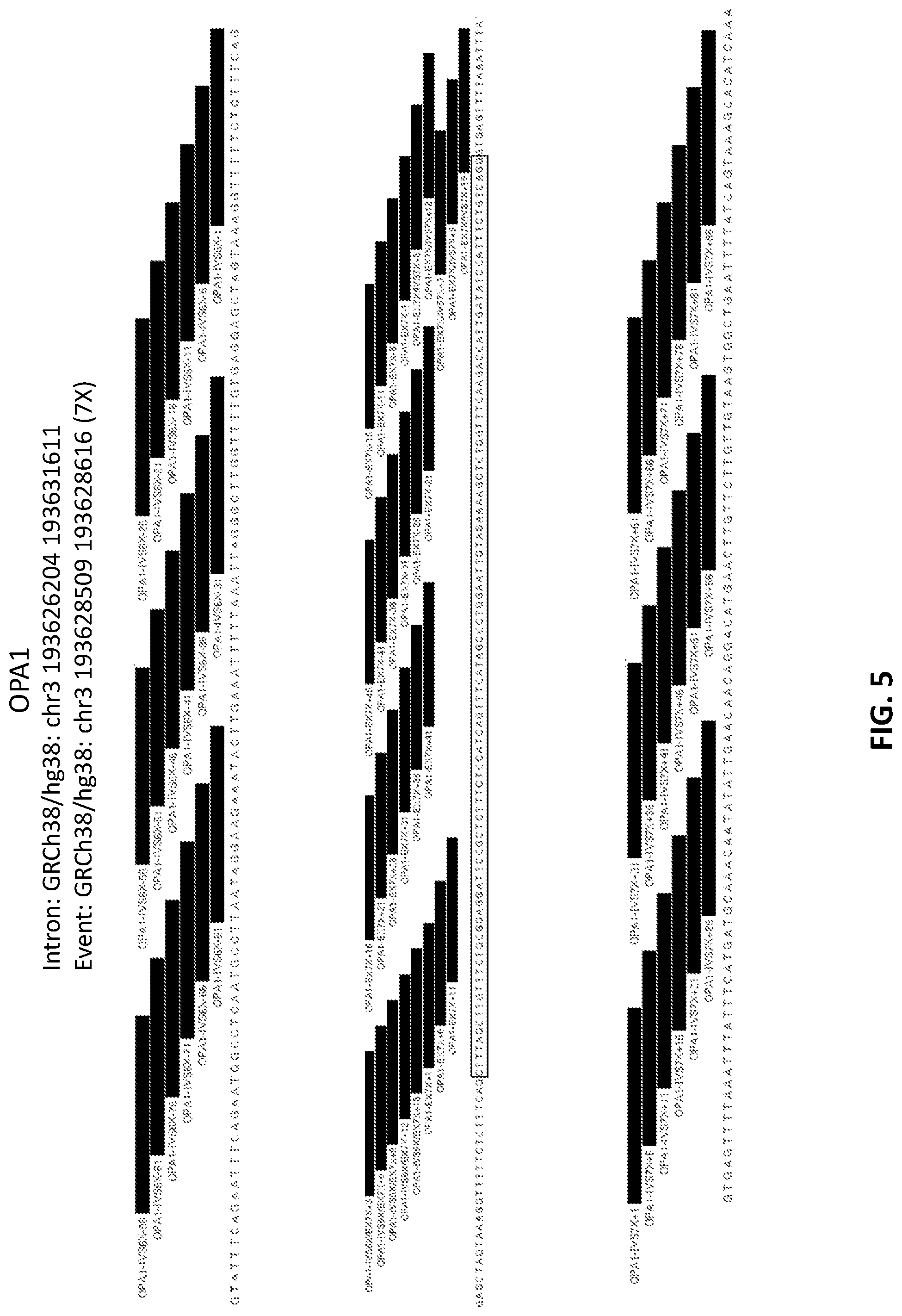 Patent US12338437 Figure 6 – OPA1 antisense oligomers for treatment of conditions and diseases