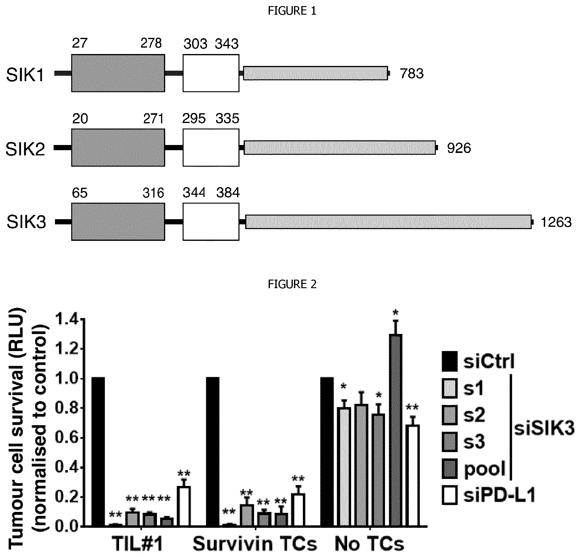 Patent US12338440 — Intracellular kinase associated with resistance against anti-tumour immune responses, and uses thereof — Figure 1