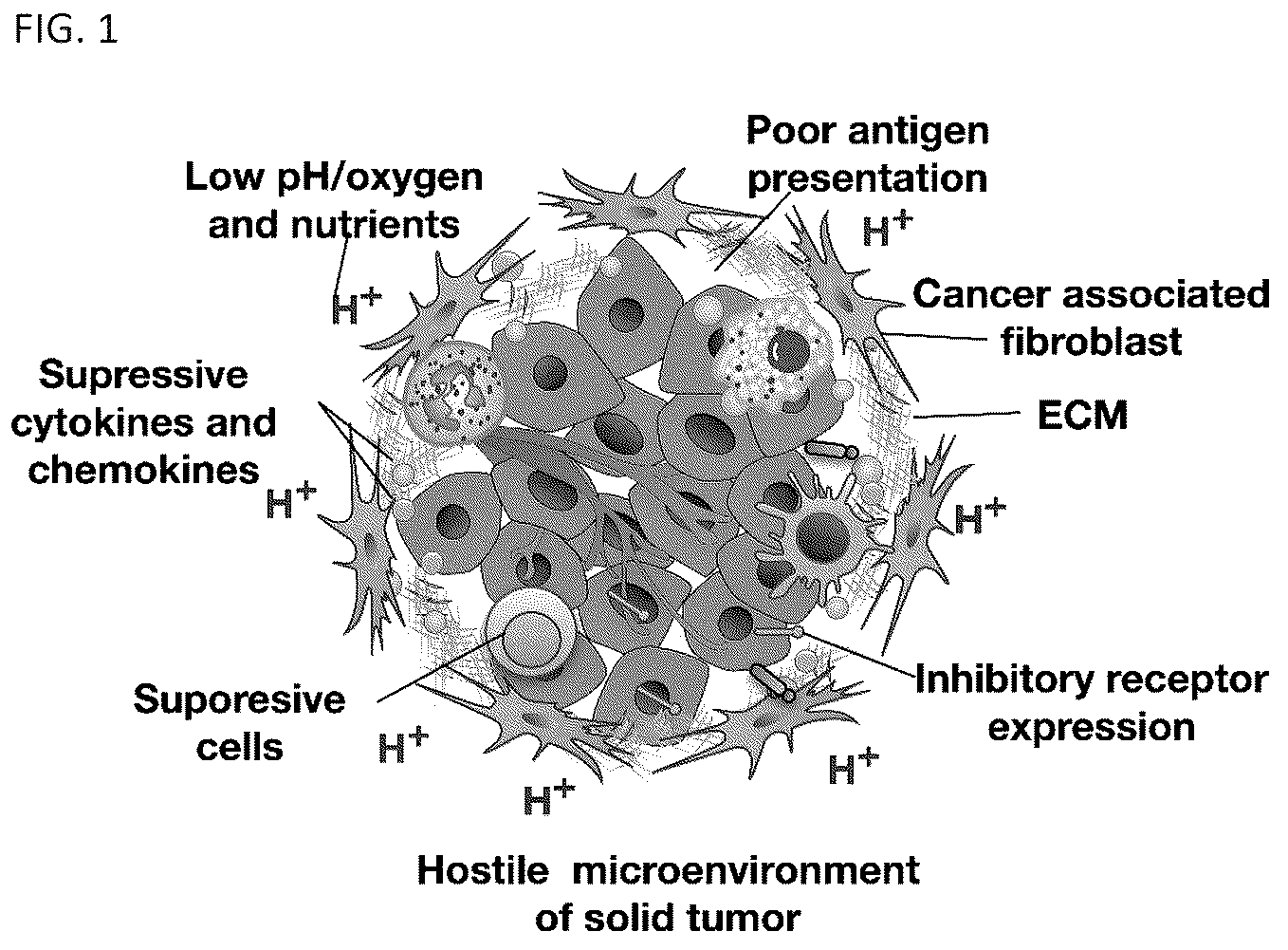 Patent US12338459 — DNA-chimeric antigen receptor T cells for immunotherapy — Figure 1