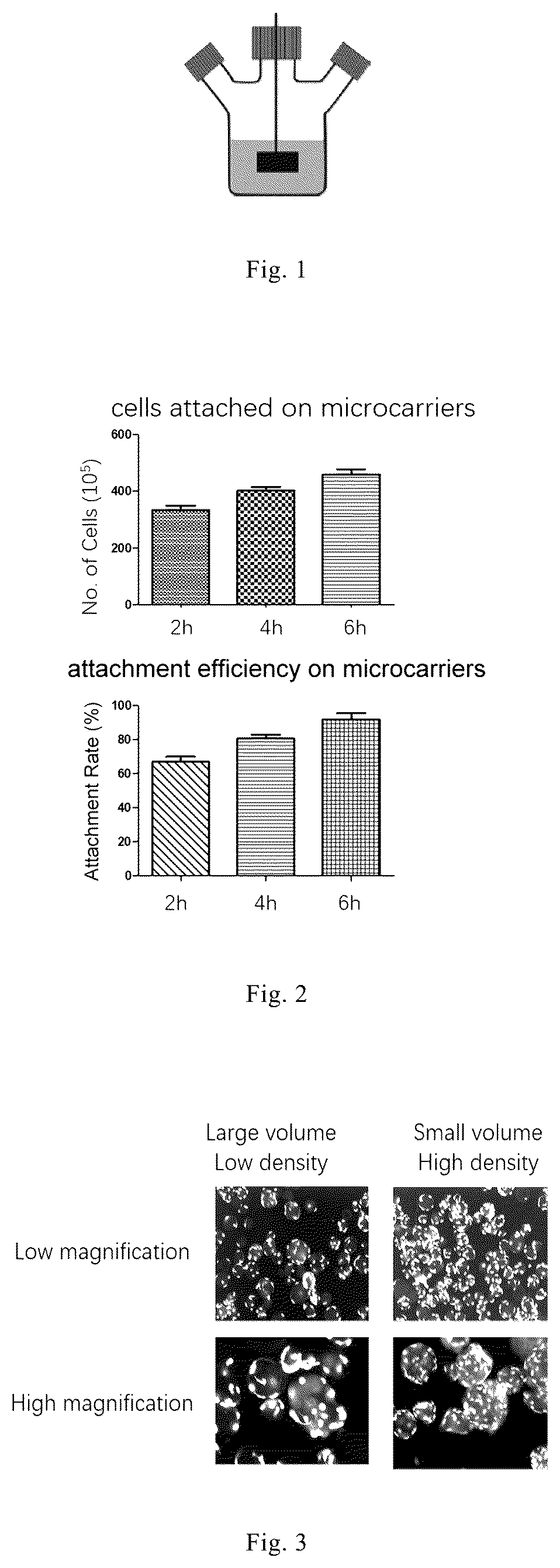 Patent US12338461 Figure 1 – Three-dimensional culture method for large-scale preparation of stem cells