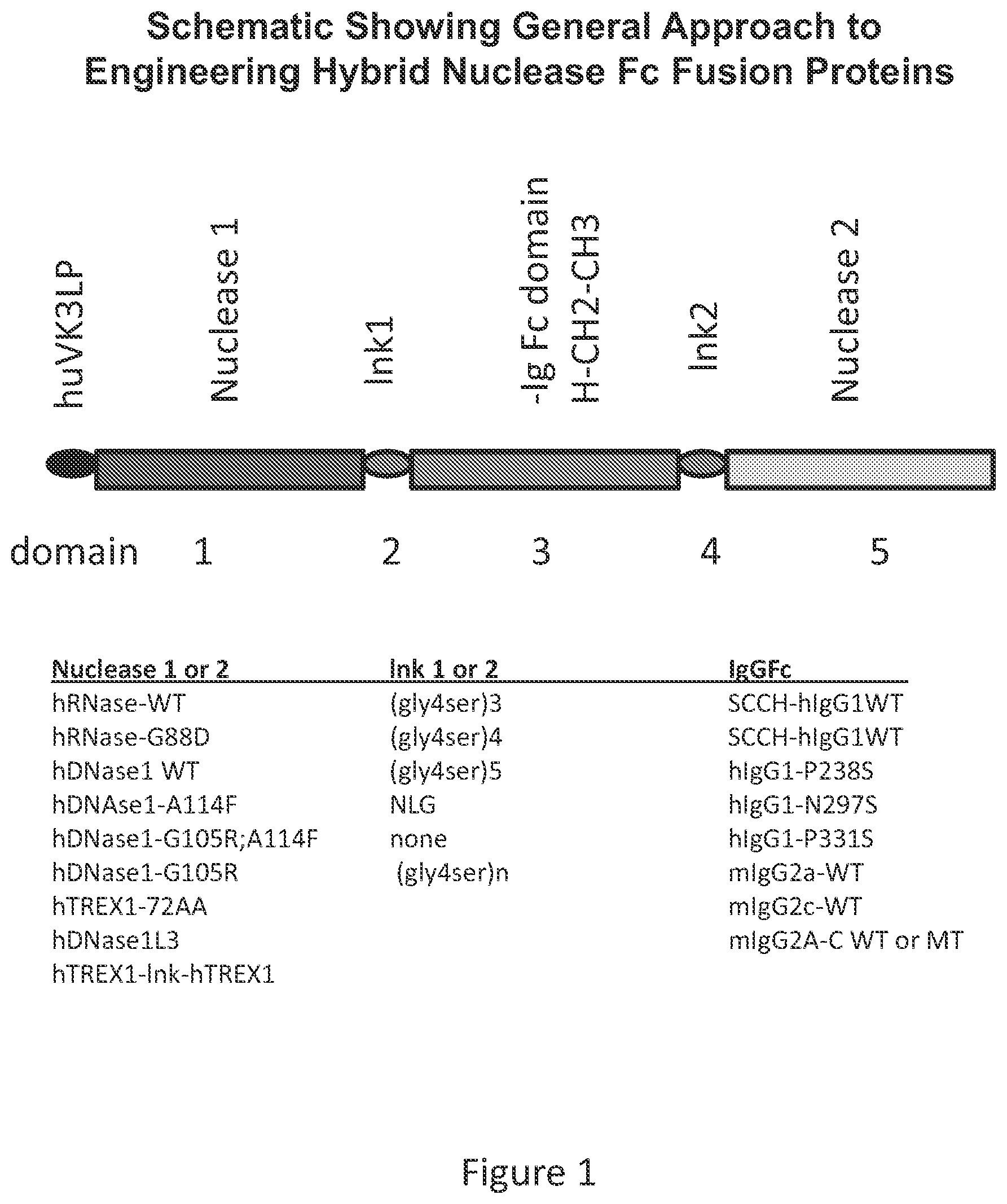 Patent US12338466 — Therapeutic nuclease compositions and methods — Figure 1