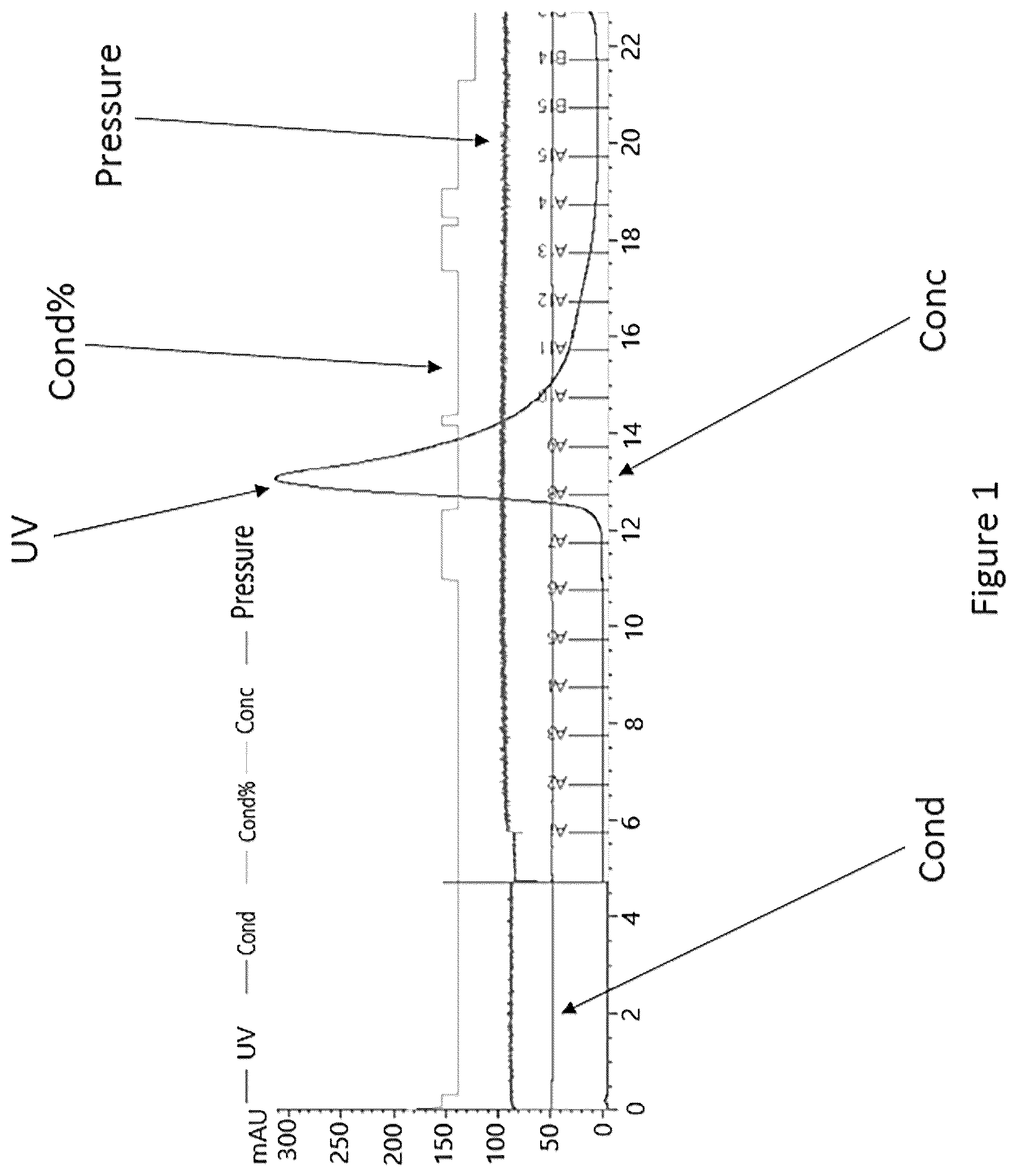 Patent US12338471 — Use of glutamine synthetase for treating hyperammonemia — Figure 1