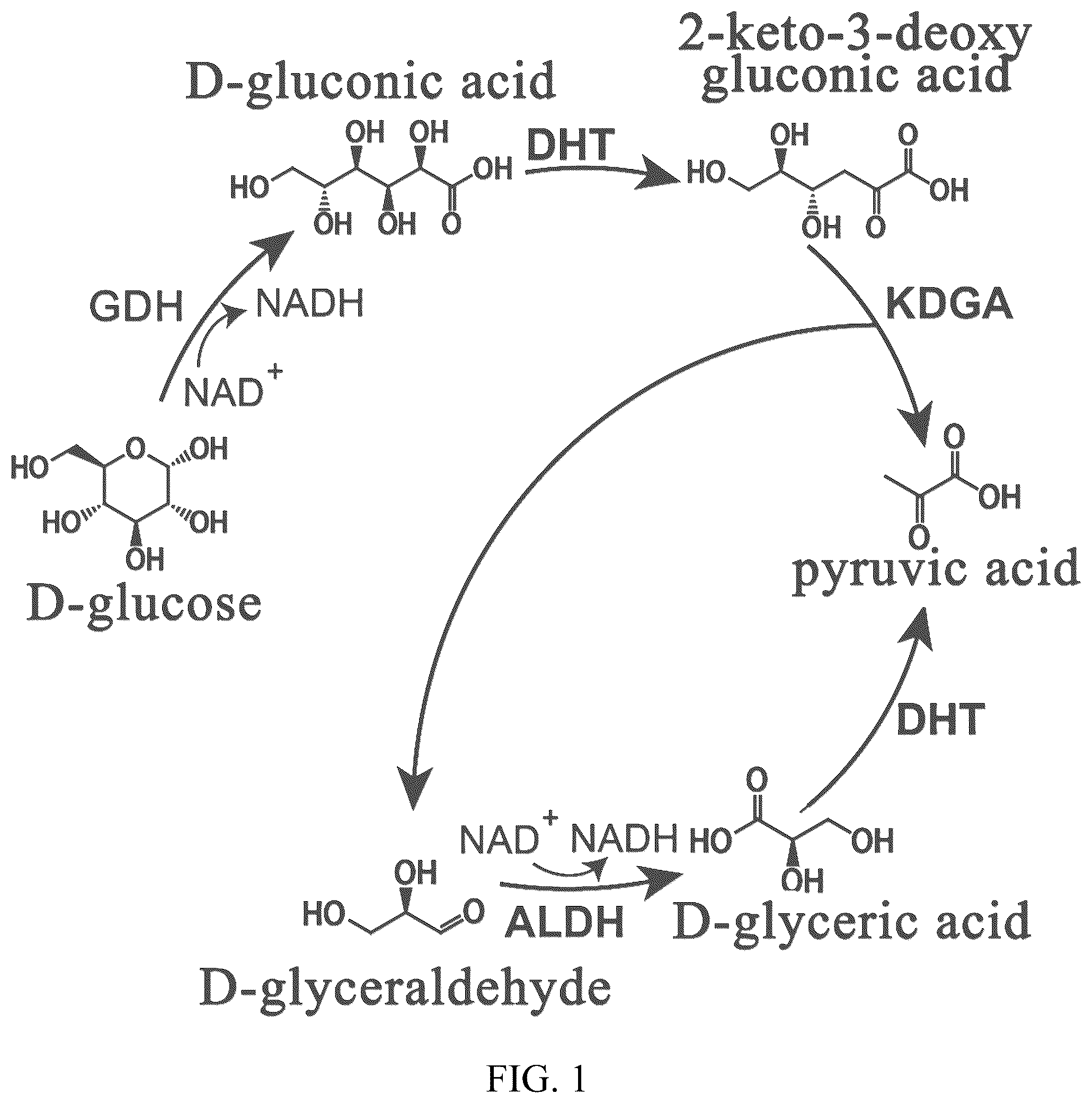 Patent US12338479 — Alditol oxidase and application thereof — Figure 1
