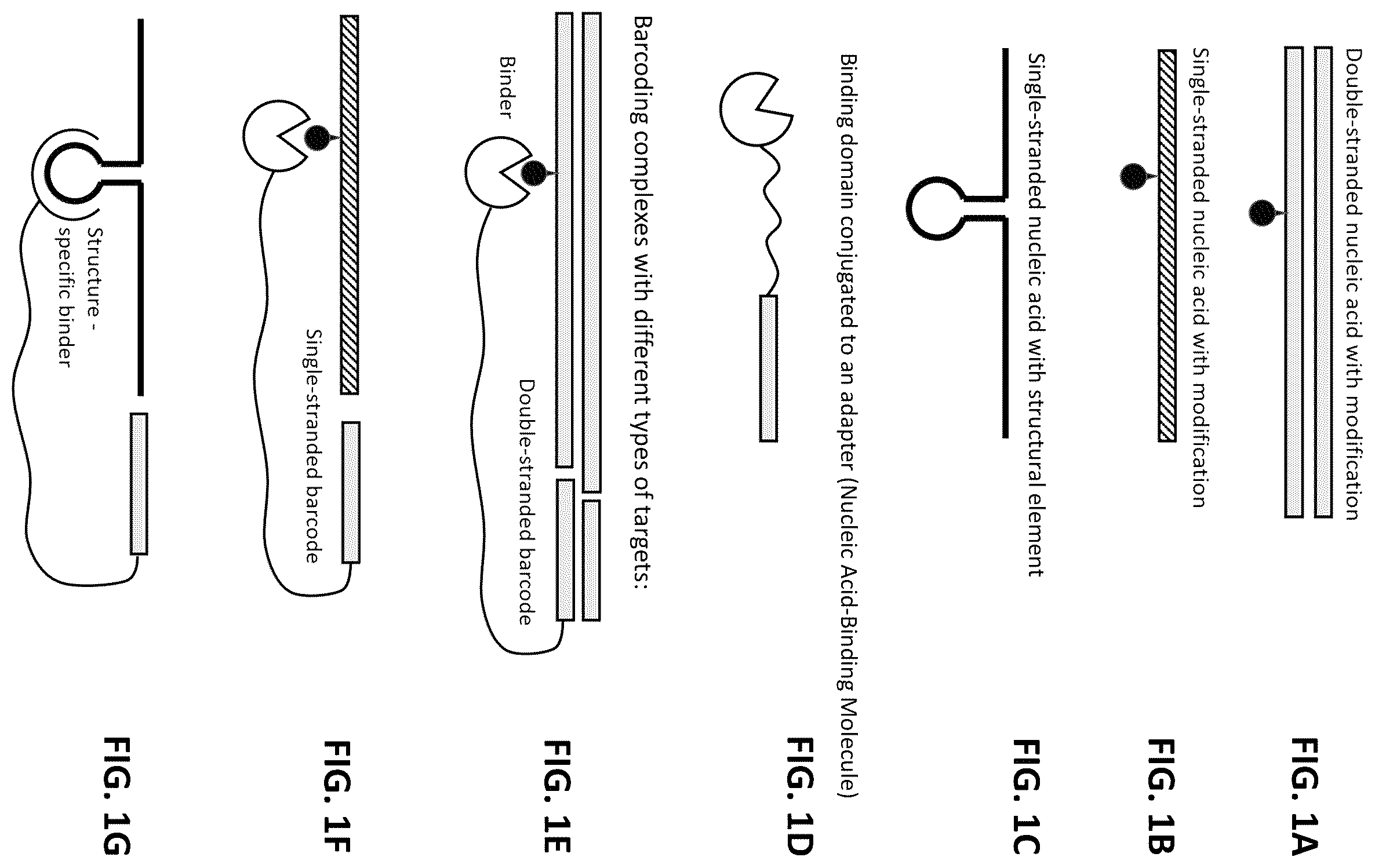 Patent US12338485 — Multiplexed profiling of RNA and DNA modifications — Figure 1