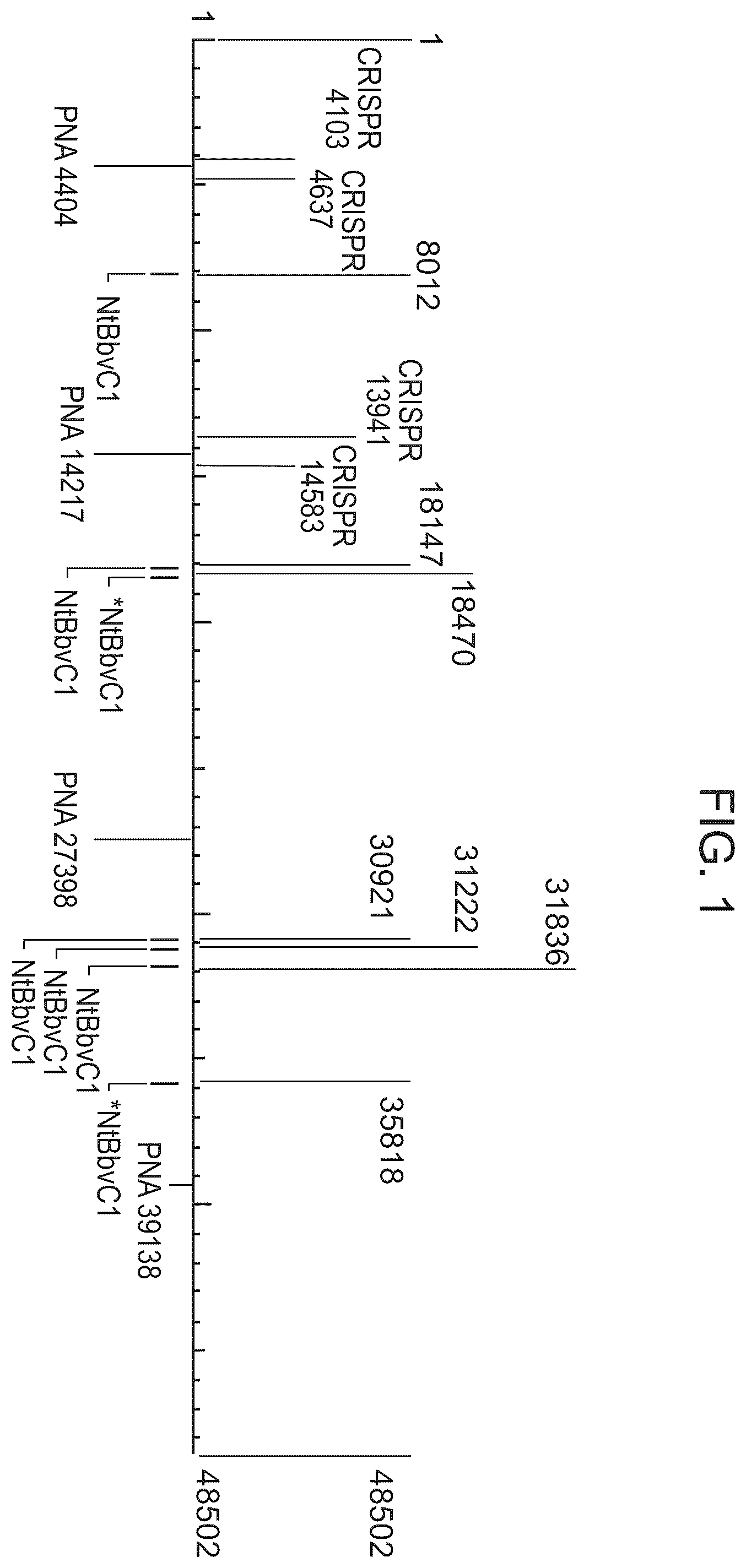 Patent US12338488 Figure 1 – Logic driven polynucleotide scanning for mapping features in a nanopore device