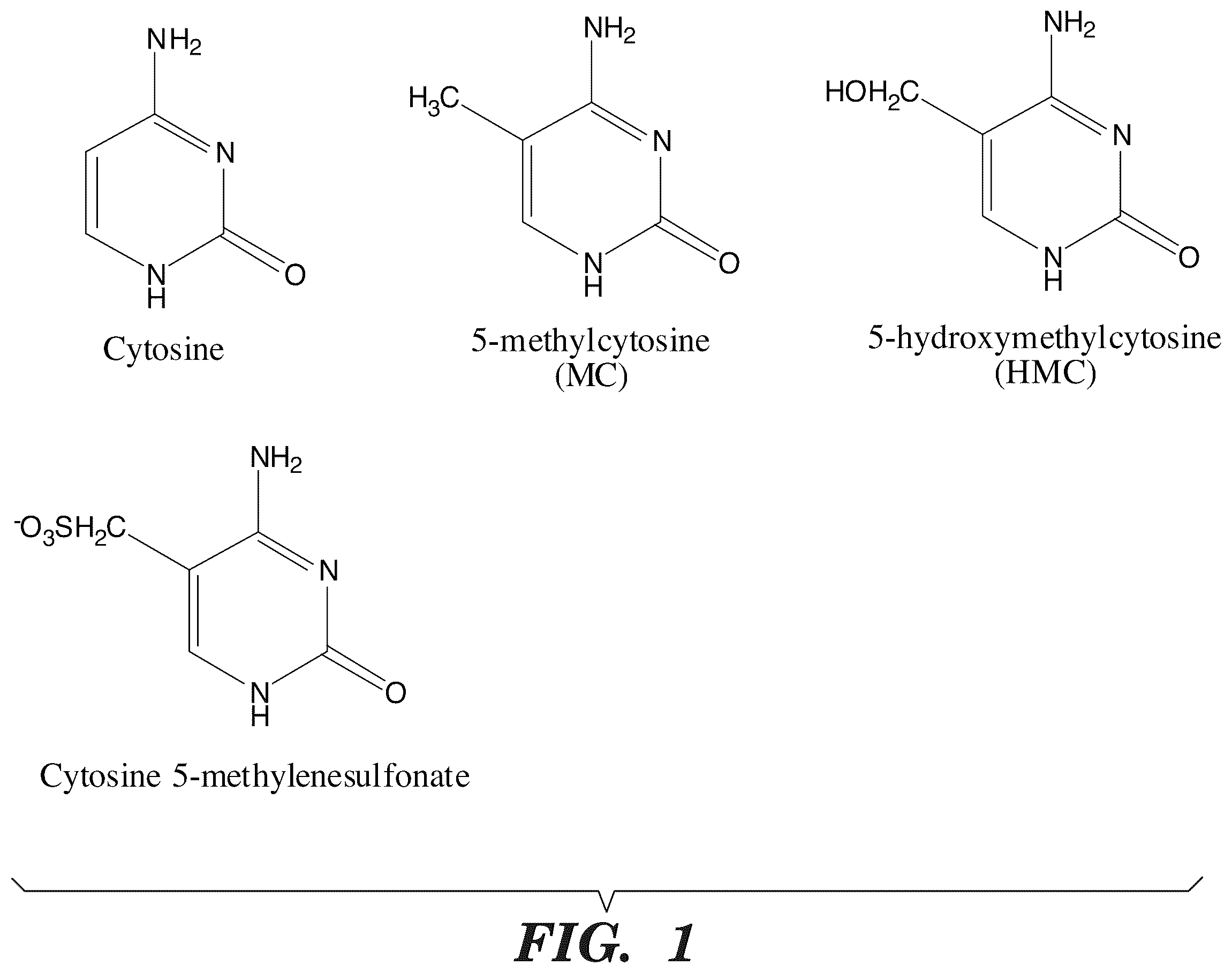 Patent US12338489 — Selective oxidation of 5-methylcytosine by TET-family proteins — Figure 1