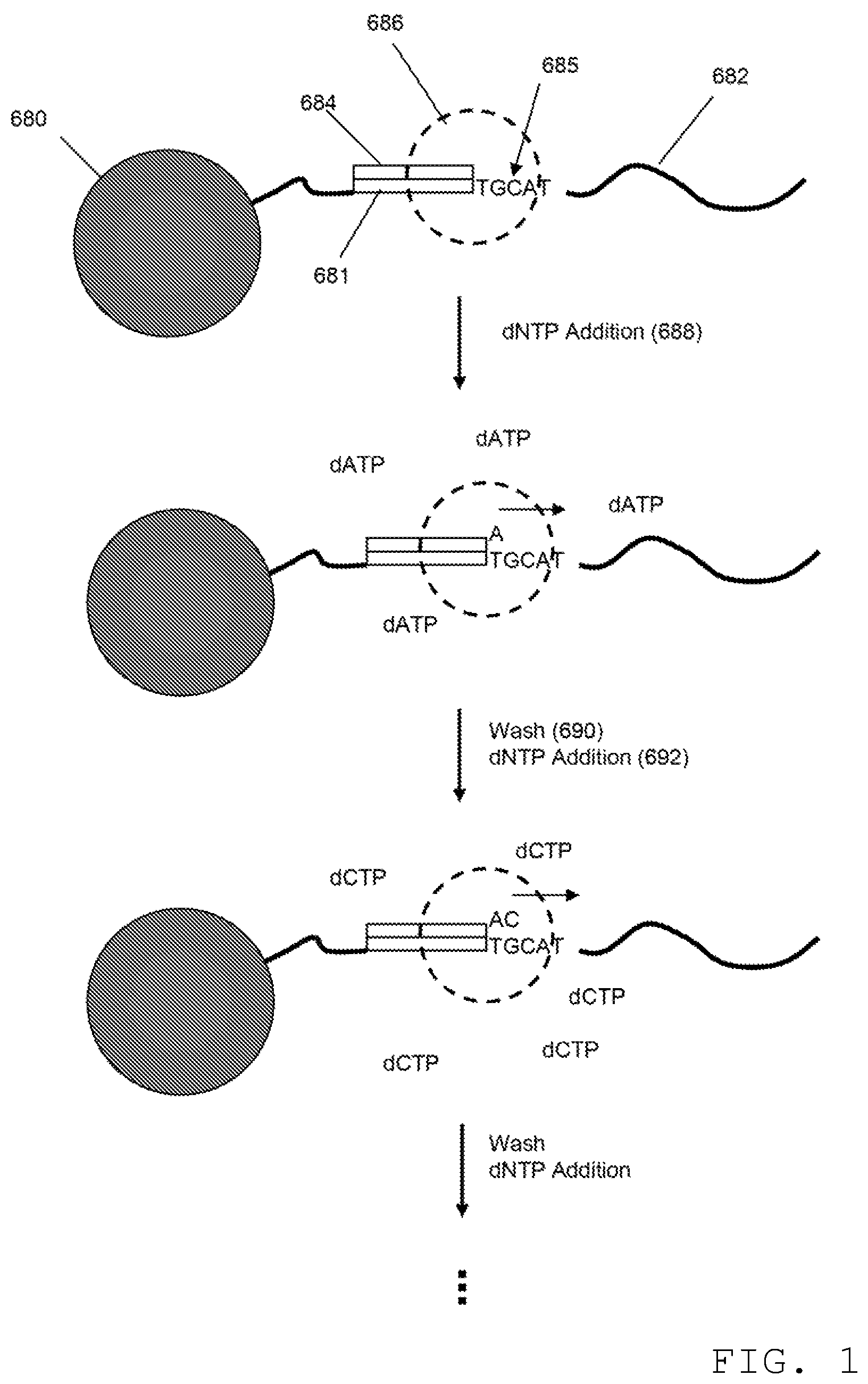 Patent US12338492 — Alternative nucleotide flows in sequencing-by-synthesis methods — Figure 1