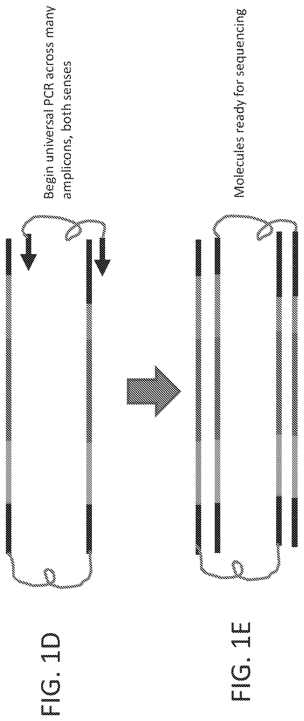 Patent US12338493 Figure 2 – Linked target capture