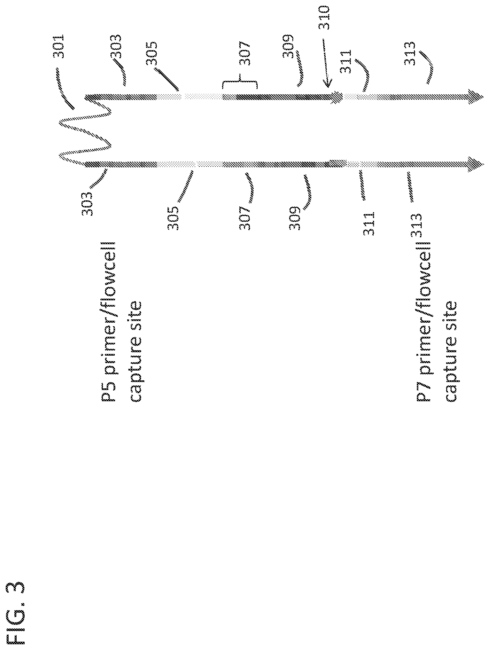 Patent US12338493 Figure 4 – Linked target capture