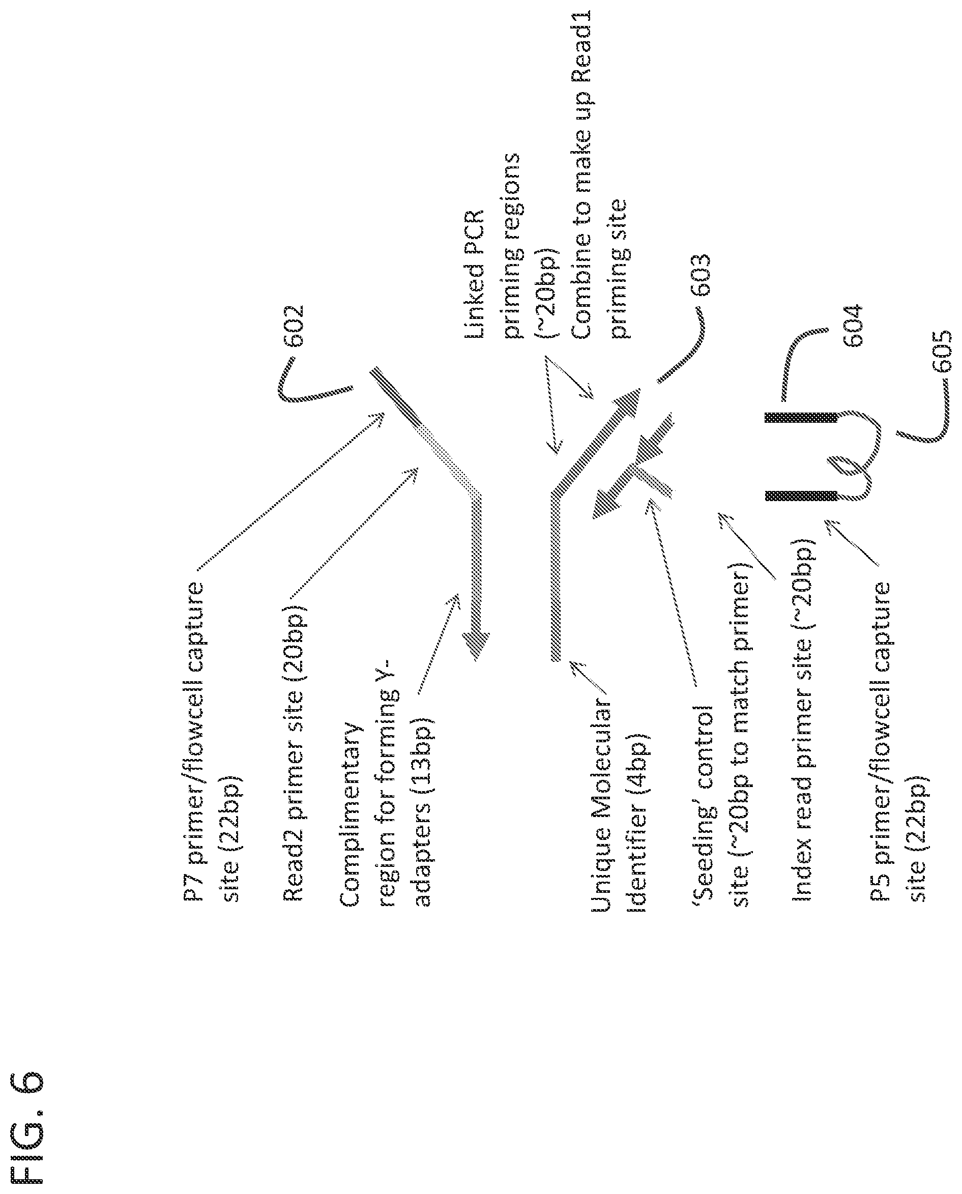 Patent US12338493 Figure 9 – Linked target capture