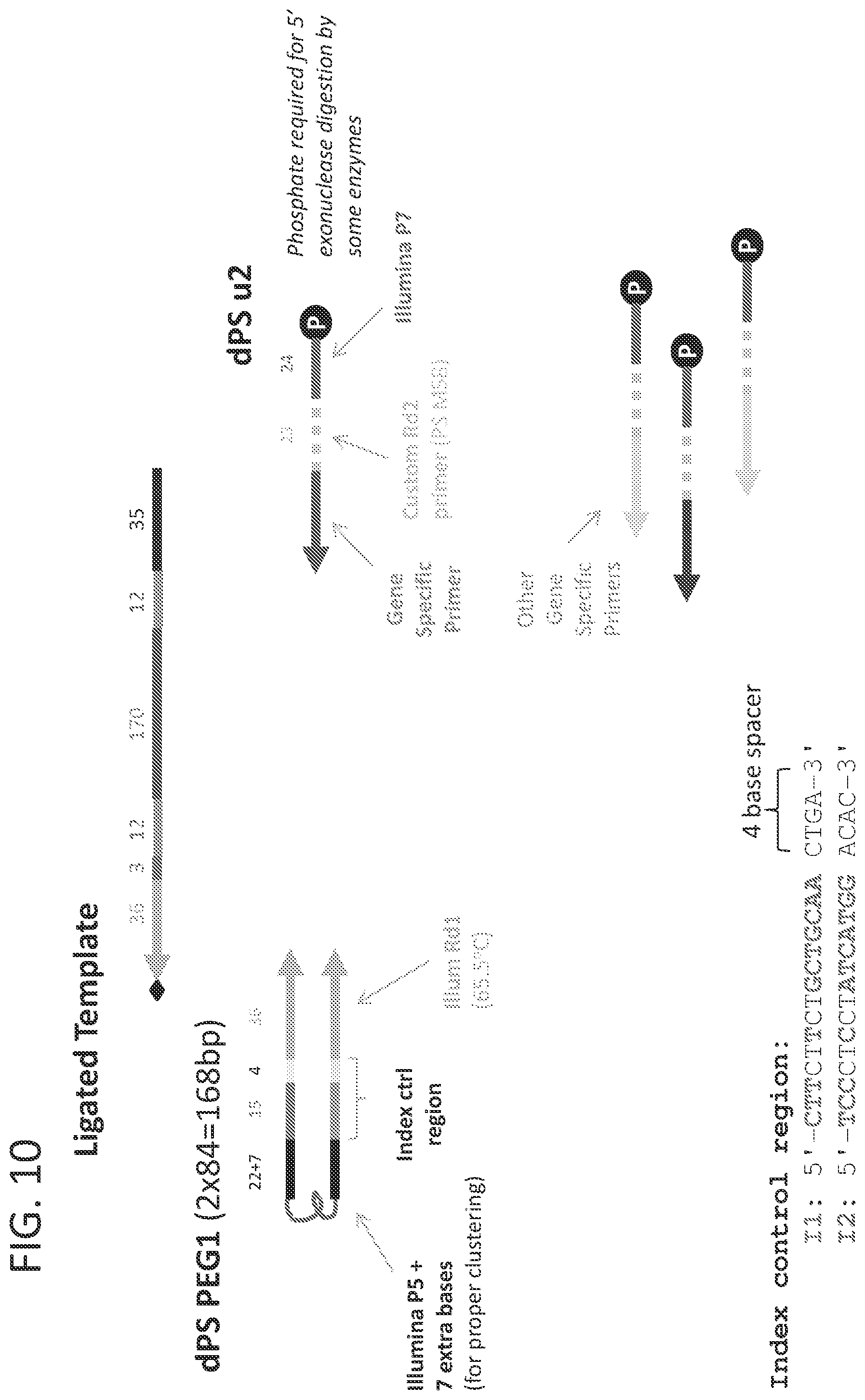 Patent US12338493 Figure 13 – Linked target capture