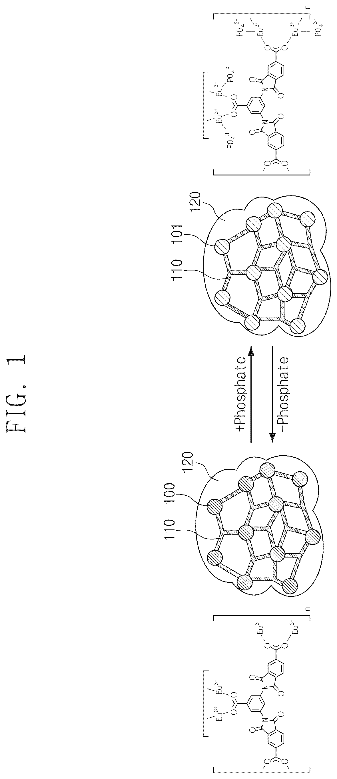Patent US12339228 Figure 1 – Nanoparticles for sensing phosphate, method for manufacturing the same, and membrane for sensing phosphate including the same