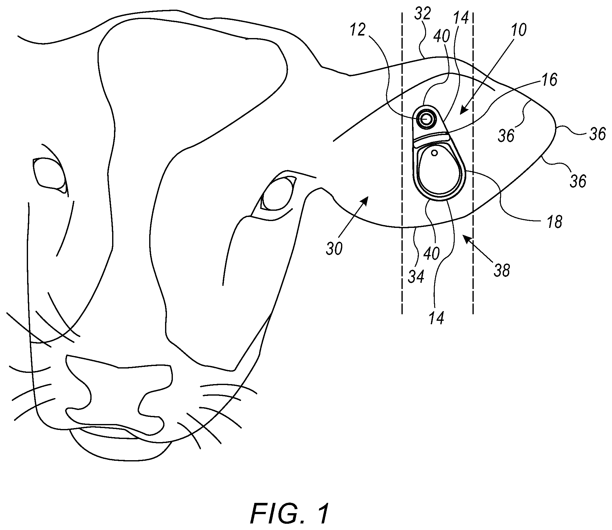 Patent US12342790 — Animal tag — Figure 1
