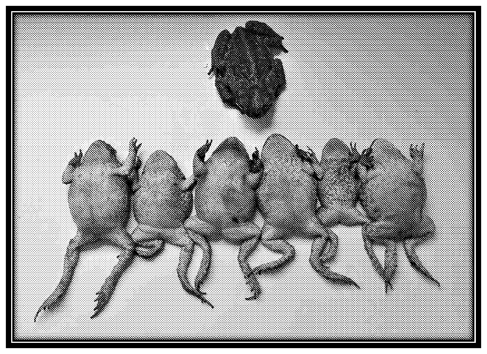 Patent US12342818 — Formulations and methods for controlling invasive amphibians — Figure 1