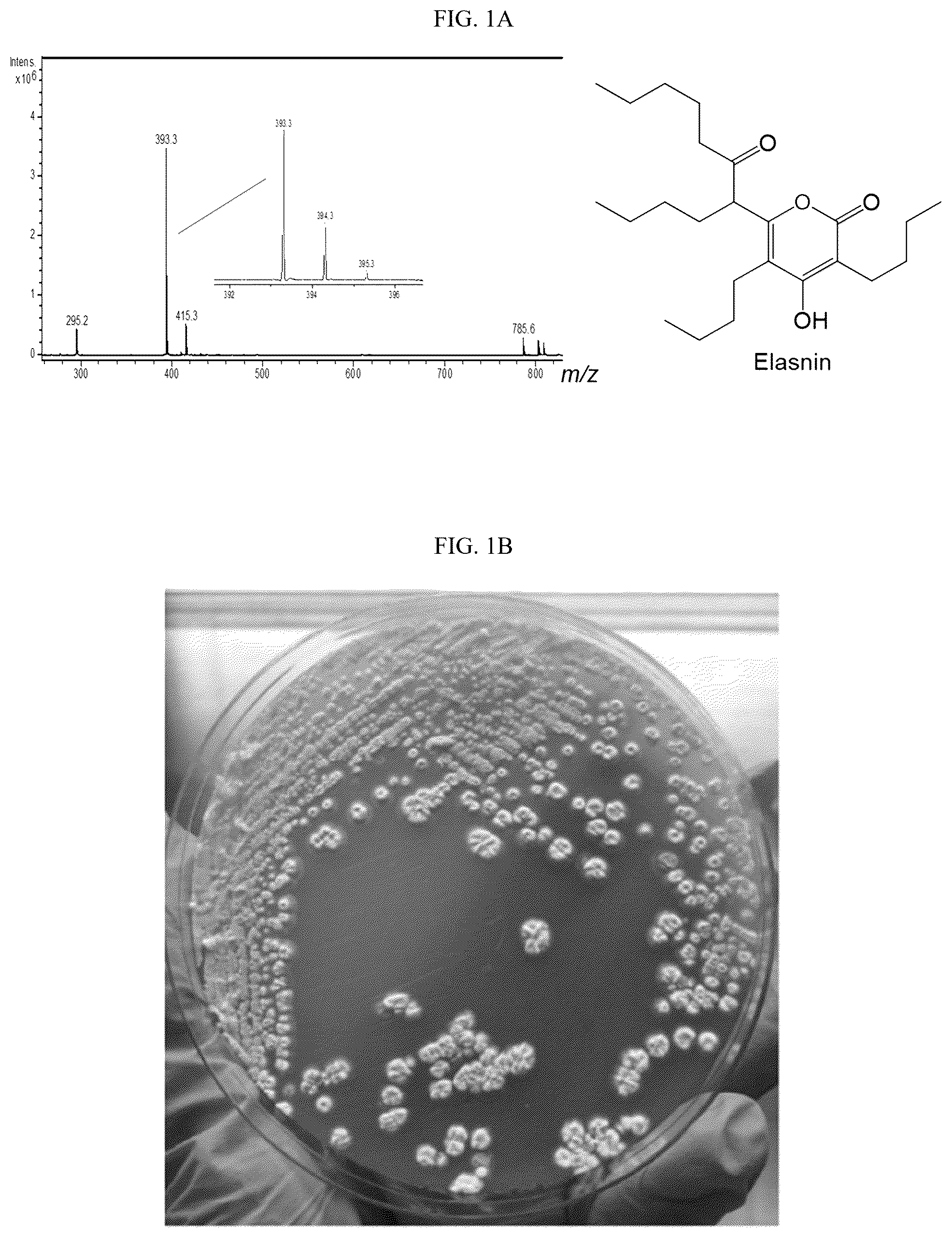 Patent US12342819 Figure 1 – Elasnin, a bacteriostatic agent that has potent antibiofilm activities against both mono- and multi-species biofilm