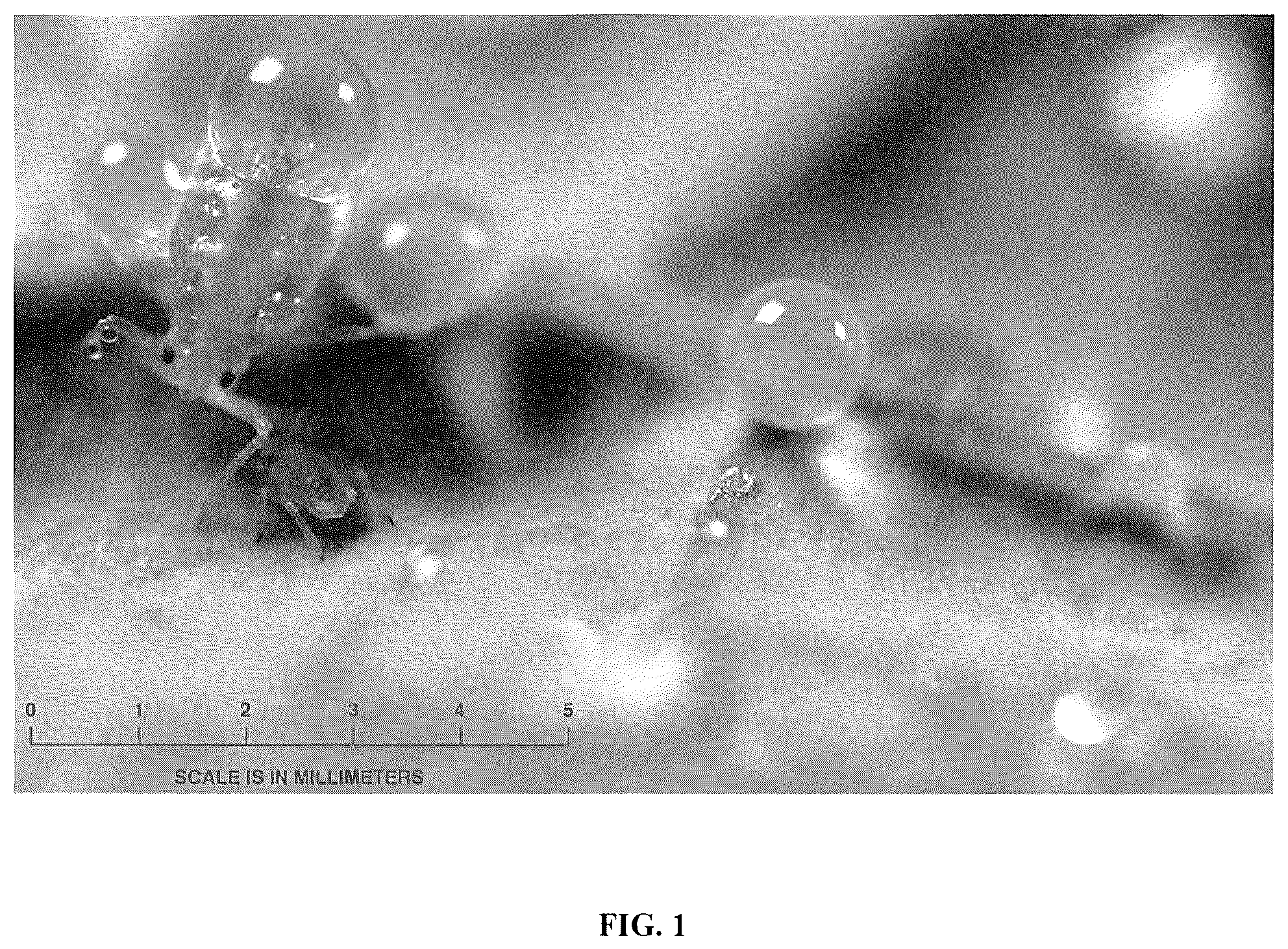 Patent US12342822 Figure 1 – Pesticides and methods of use thereof