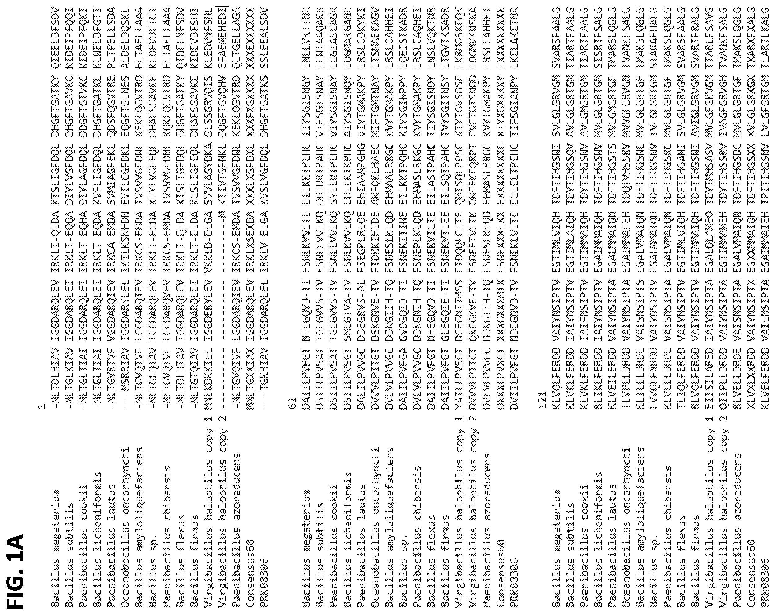 Patent US12342825 — Microbial consortia producing dipicolinic acid and methods for selecting microbes for co-formulation with carriers — Figure 1